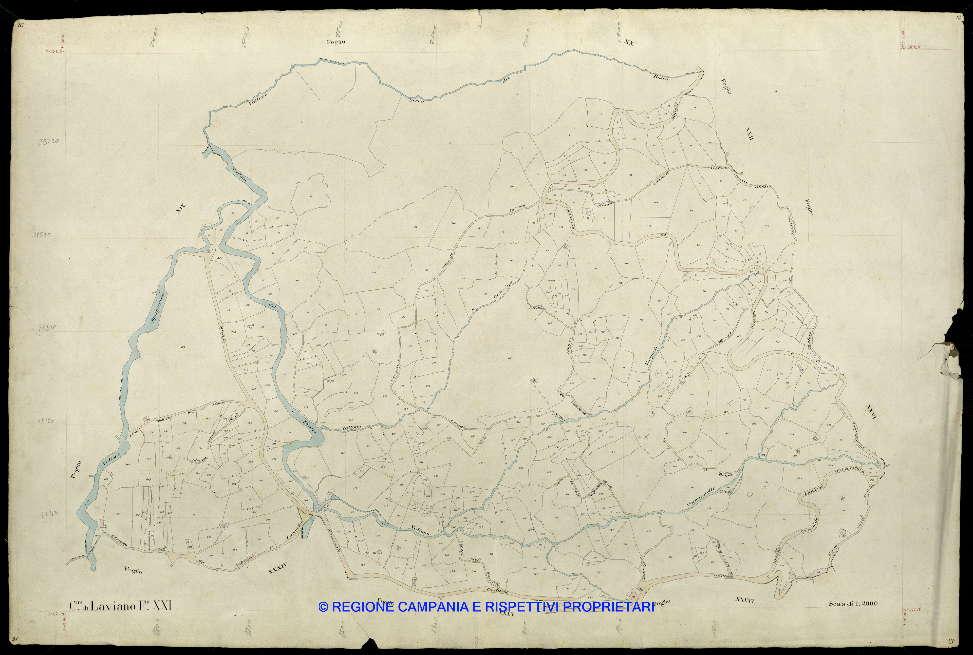 Mappa