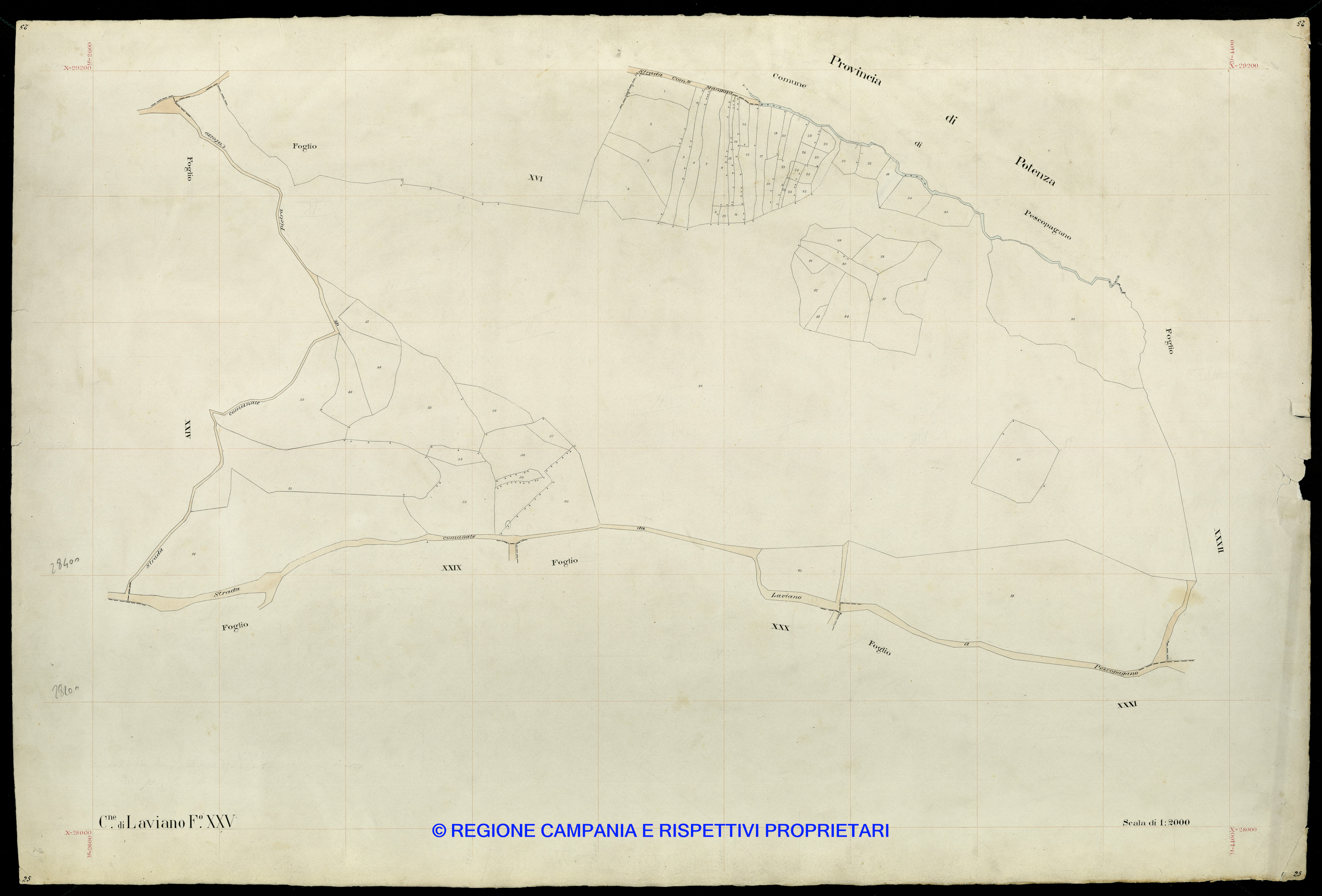 Mappa