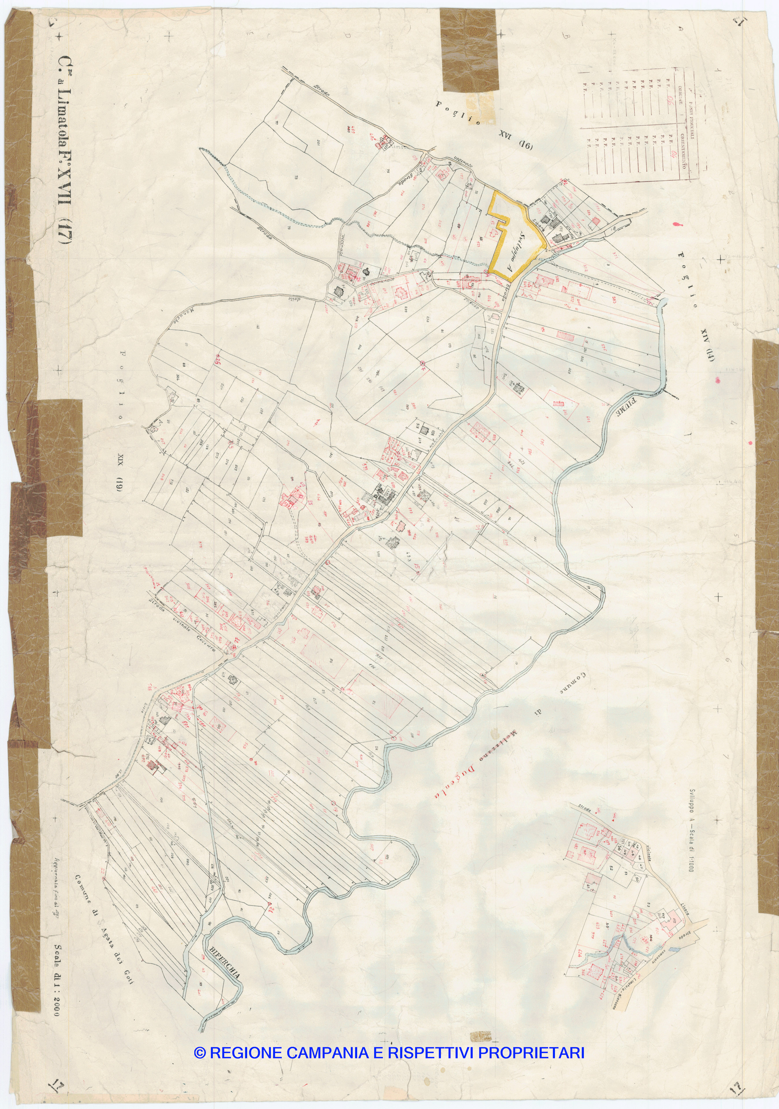 Mappa
