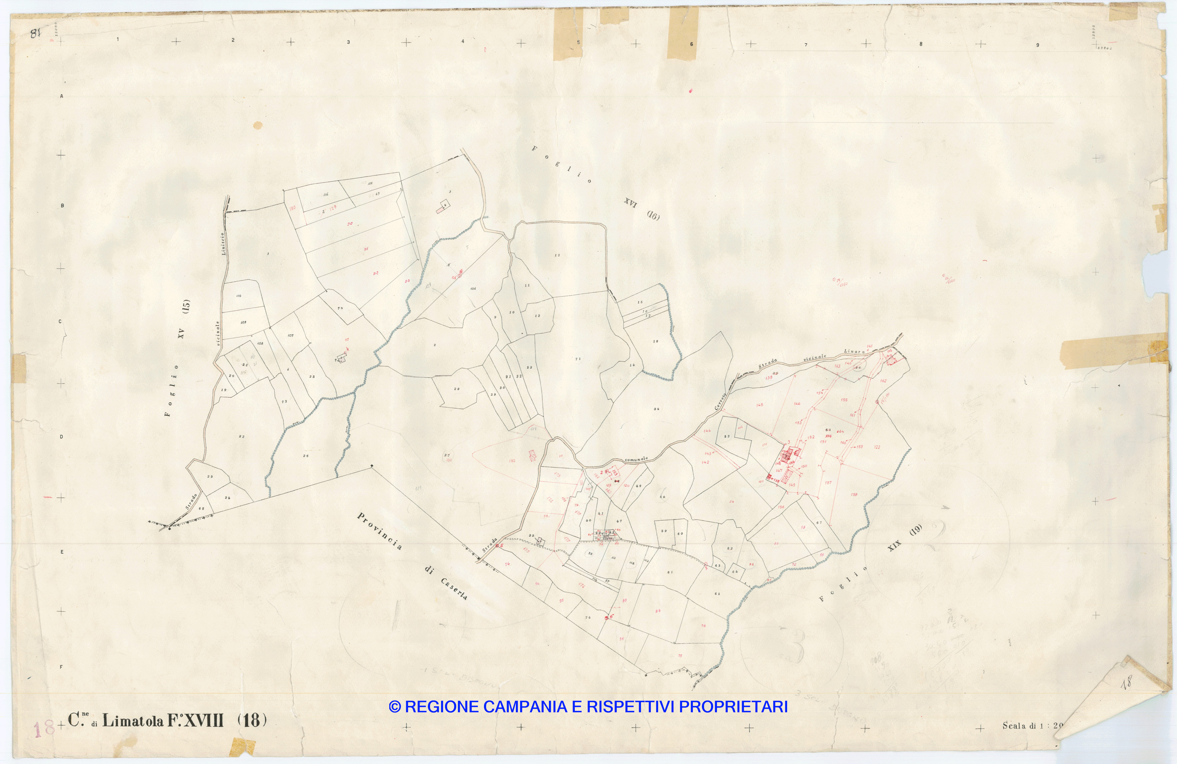 Mappa