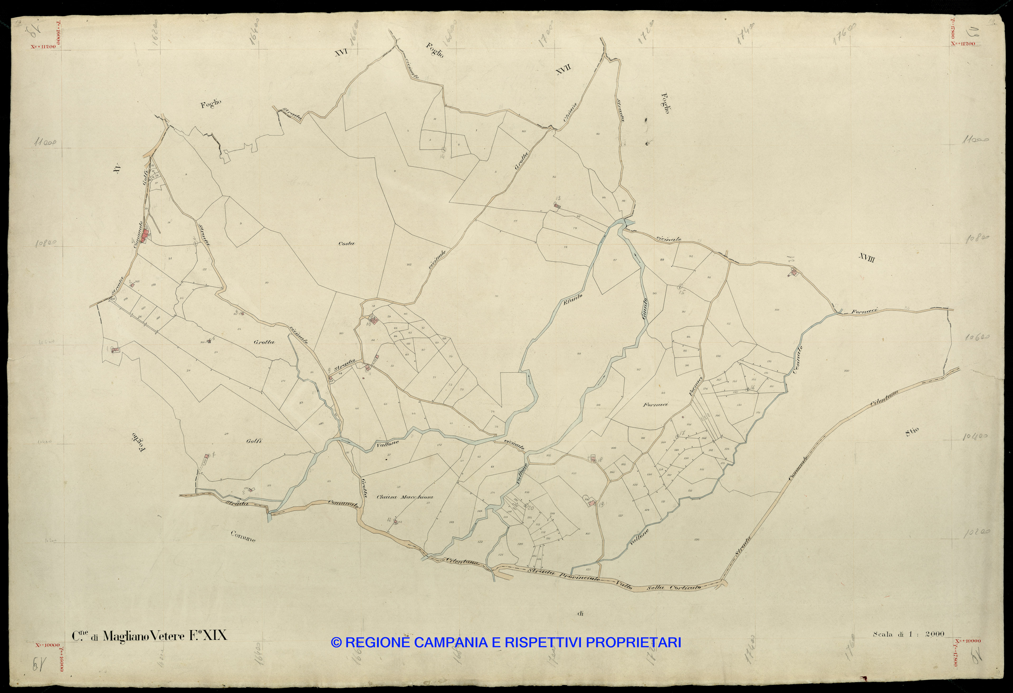 Mappa