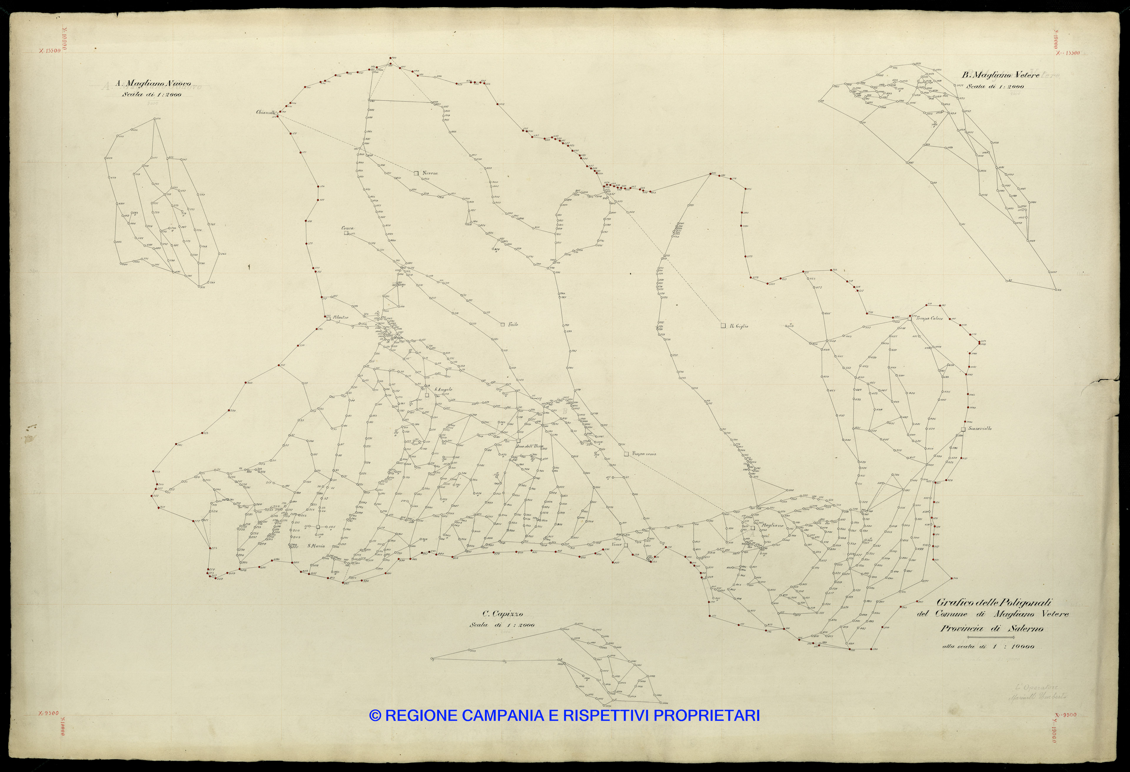 Grafico delle Poligonali