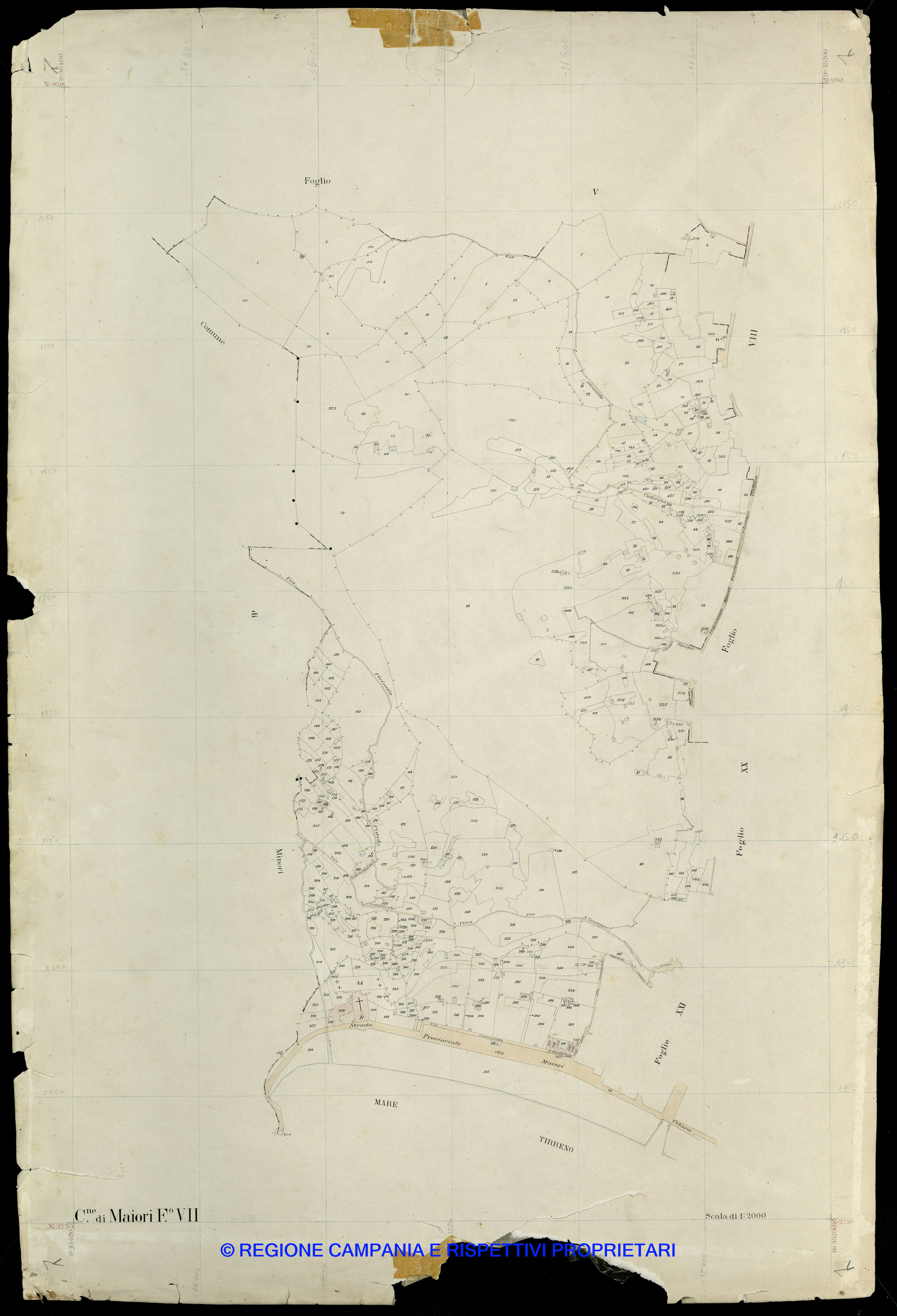 Mappa