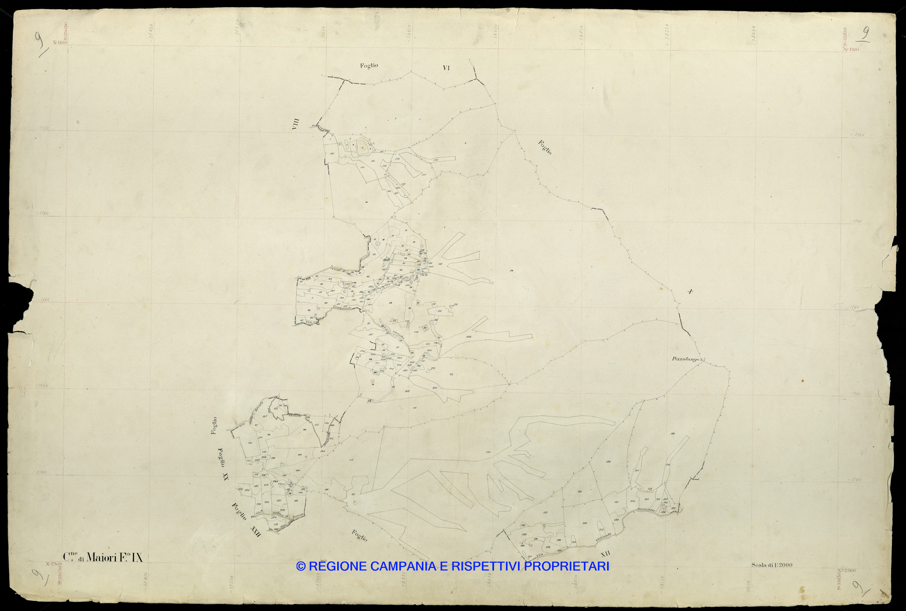 Mappa