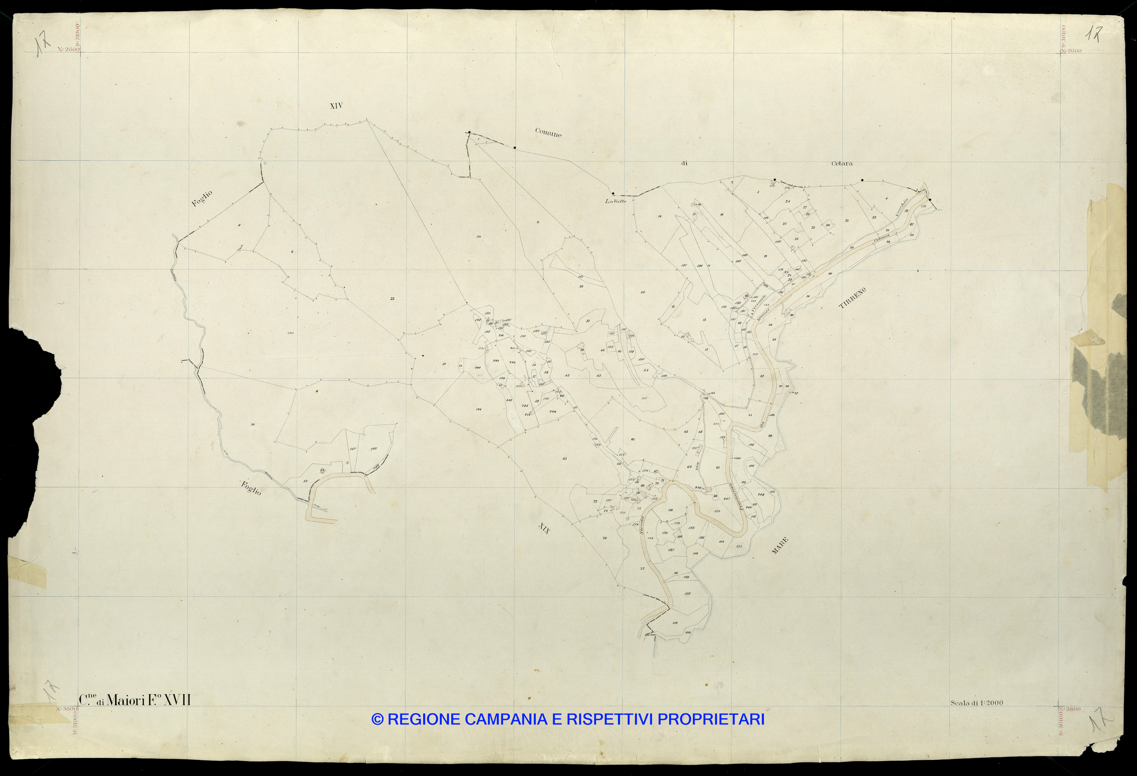 Mappa