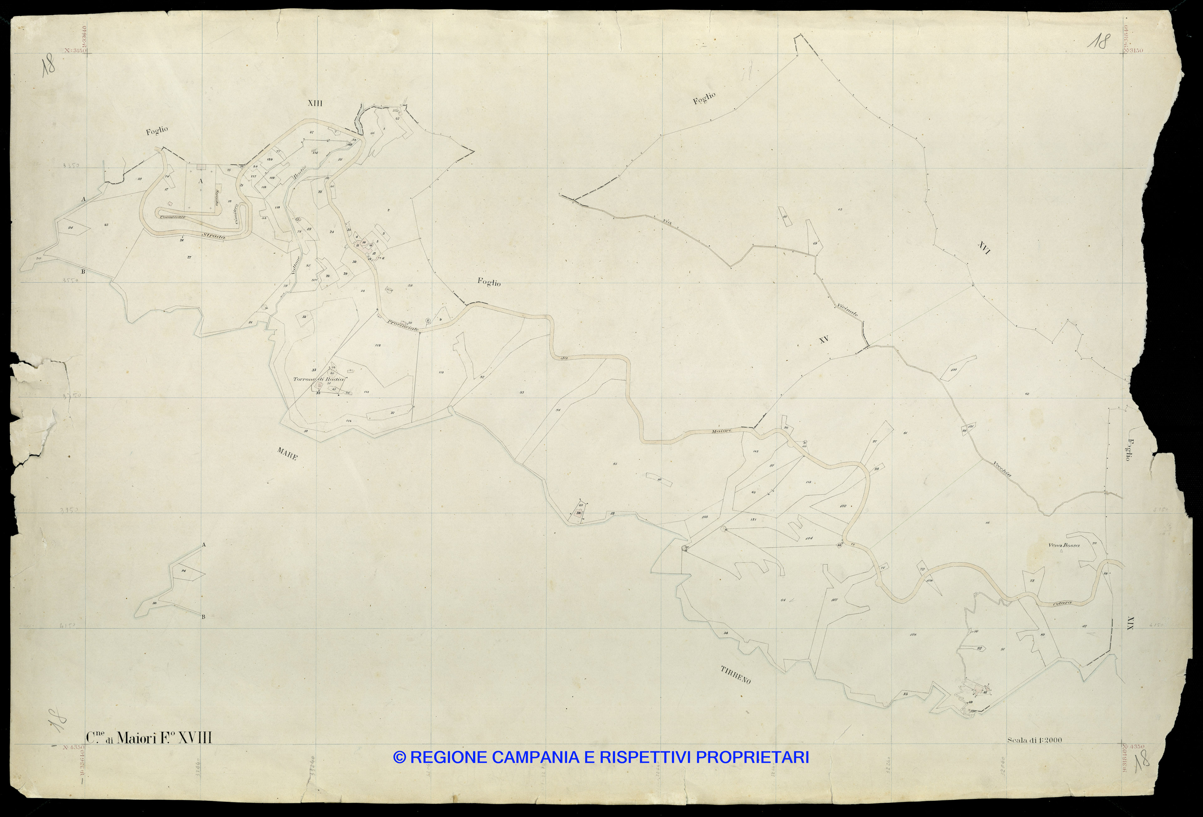 Mappa
