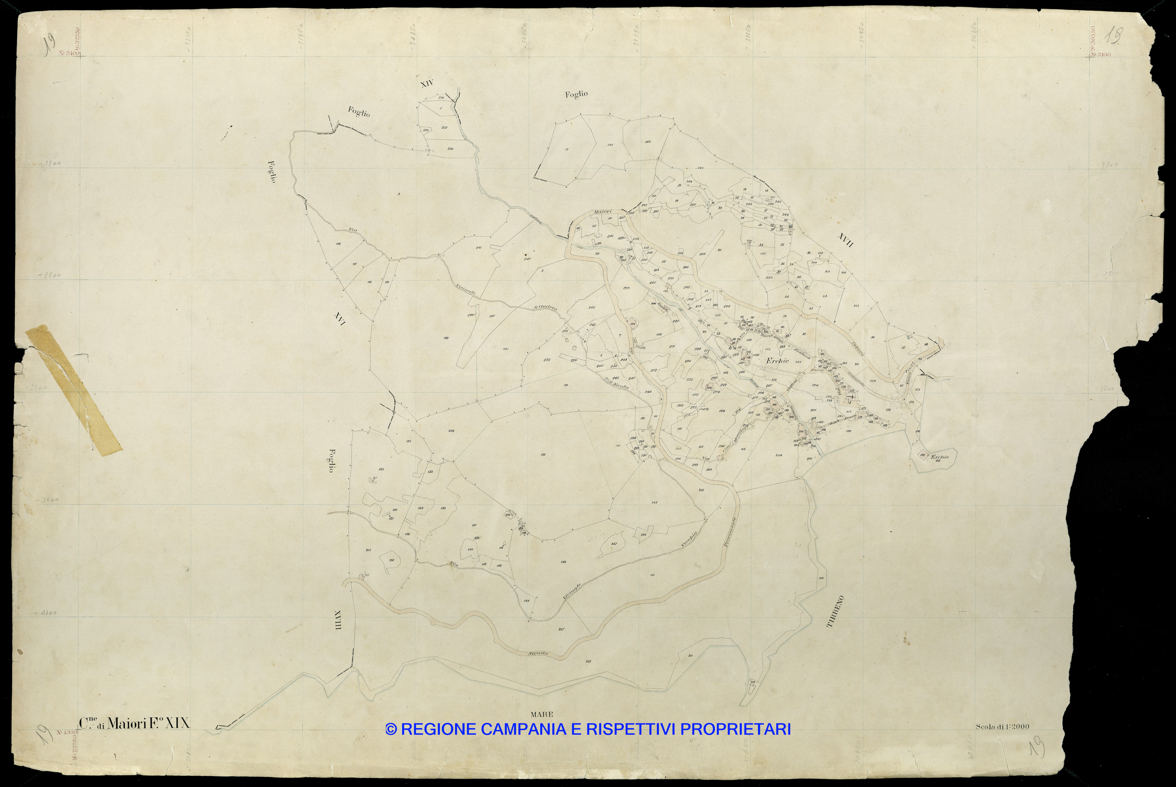 Mappa