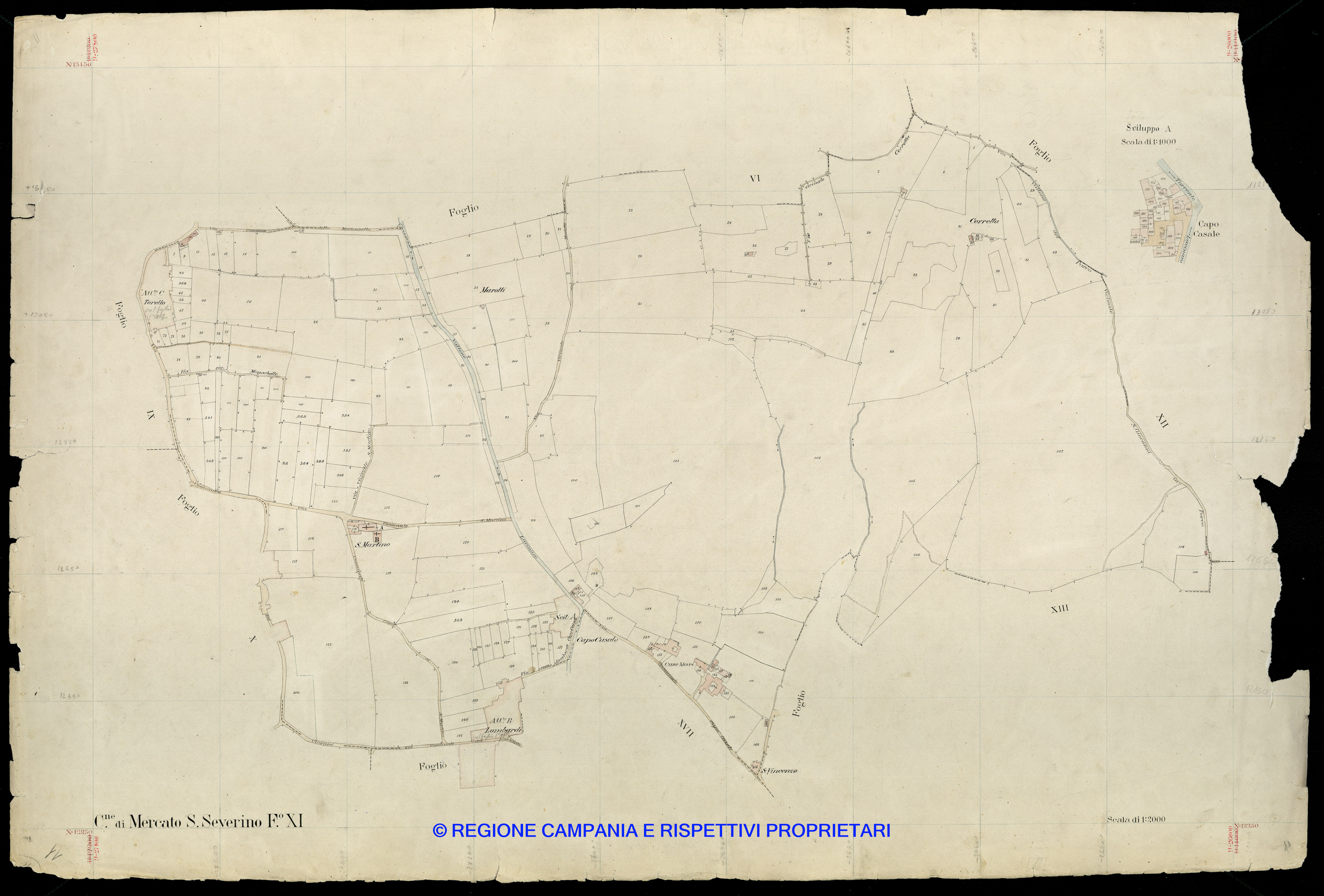 Mappa