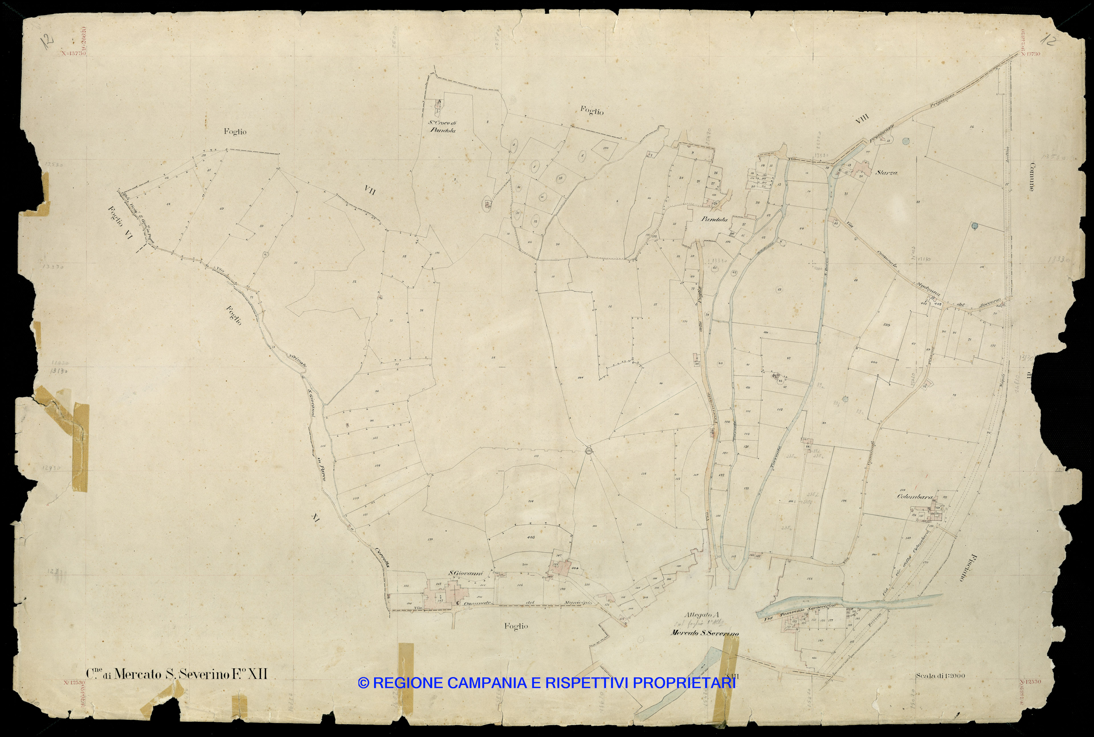 Mappa