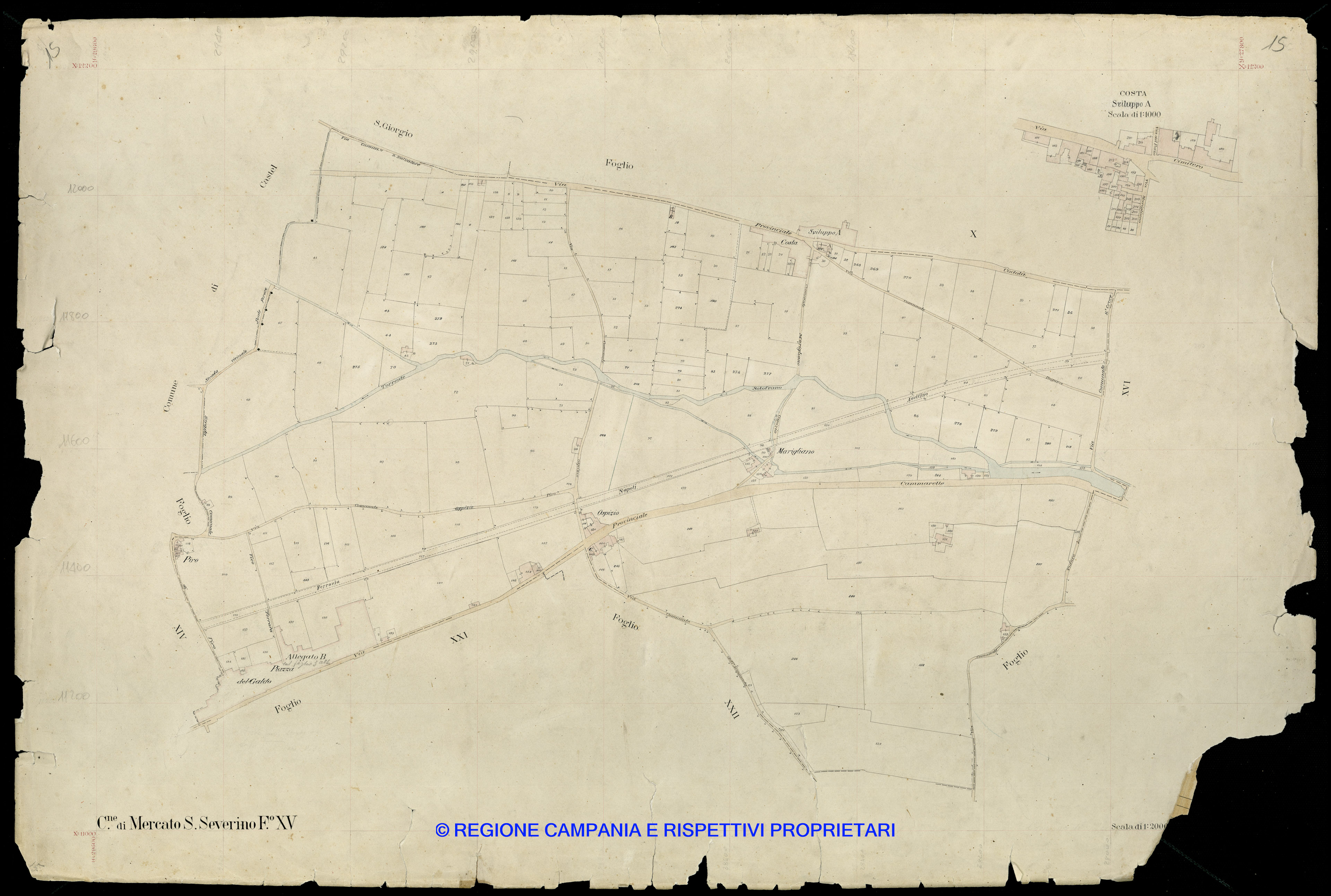 Mappa