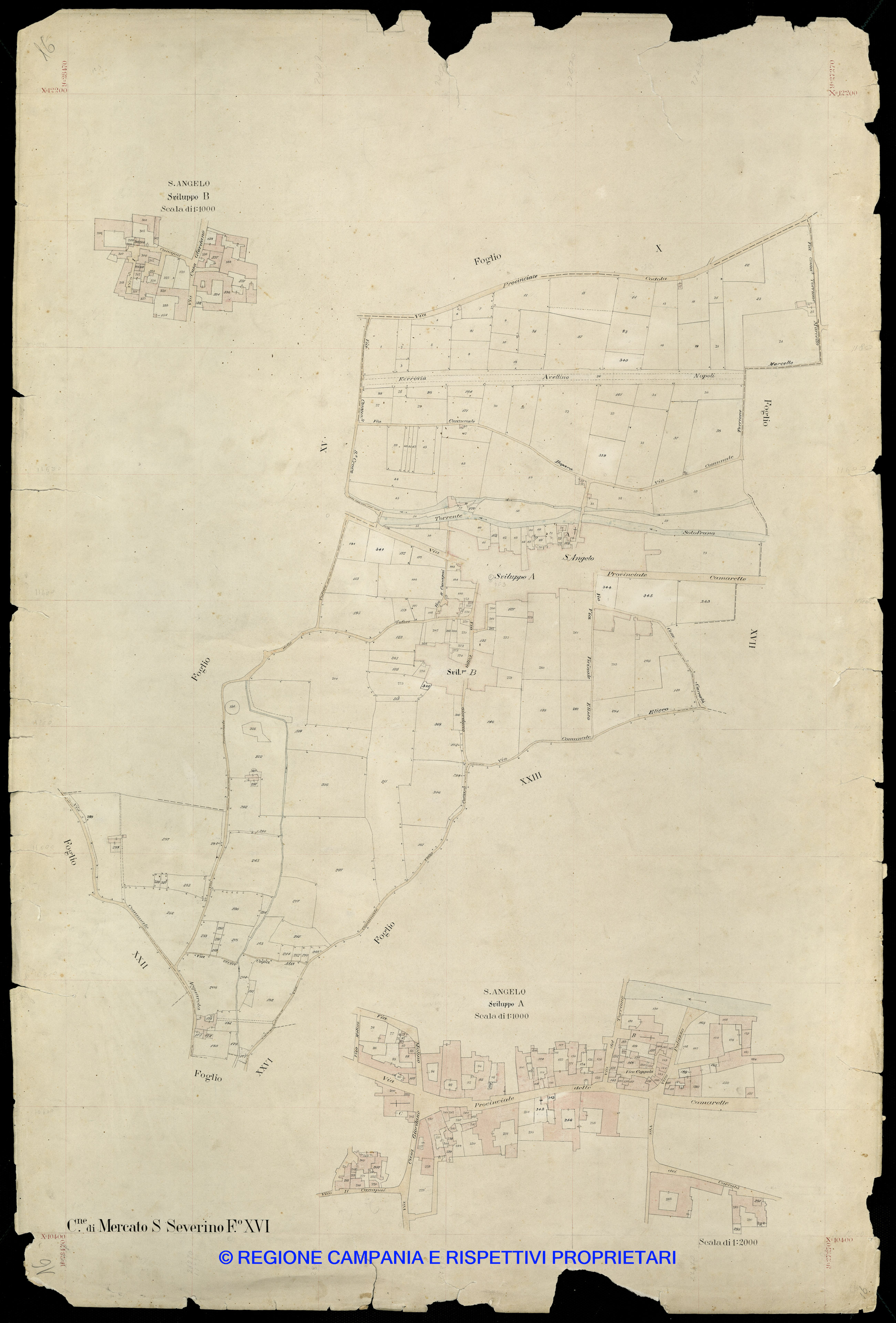 Mappa