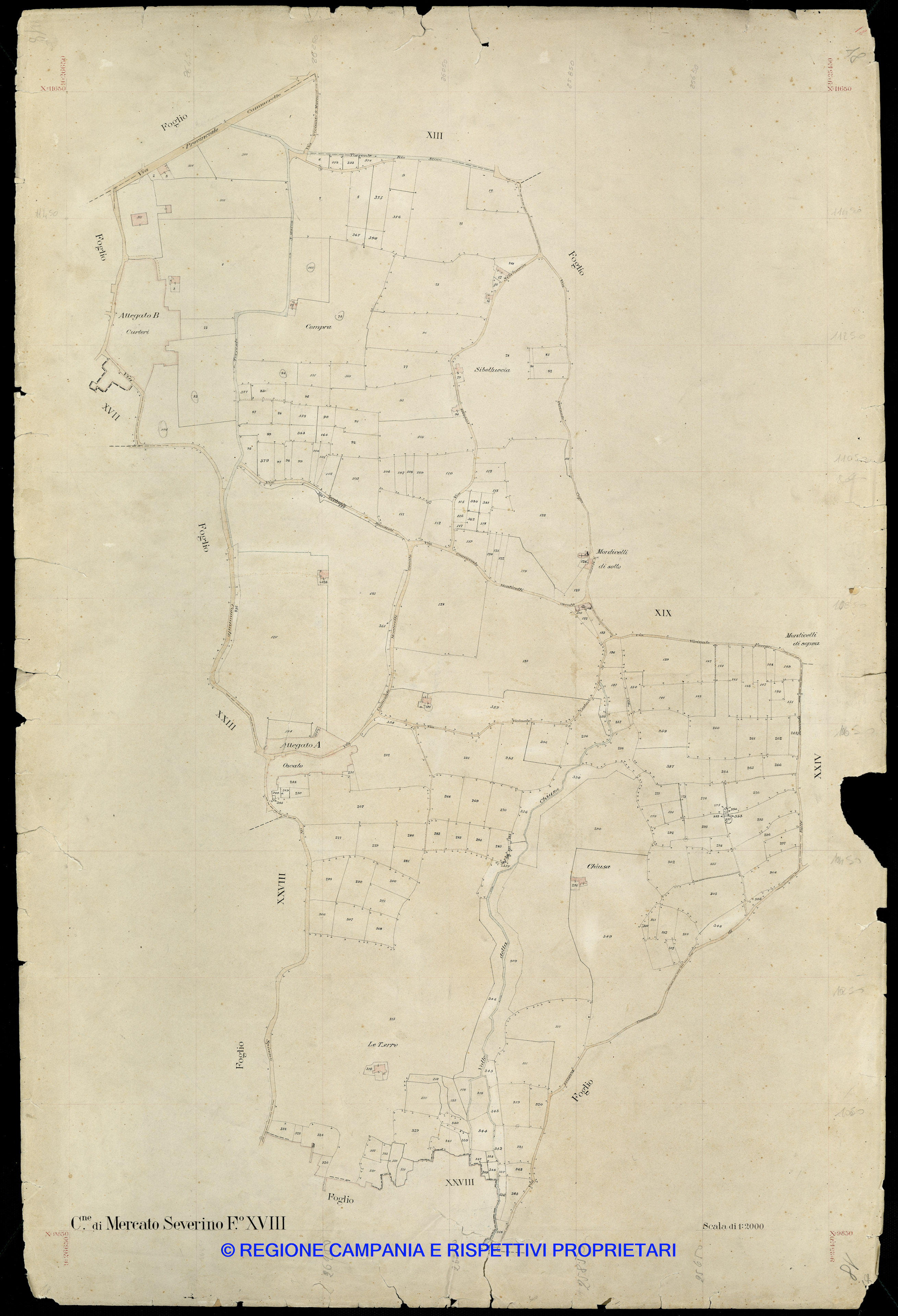 Mappa