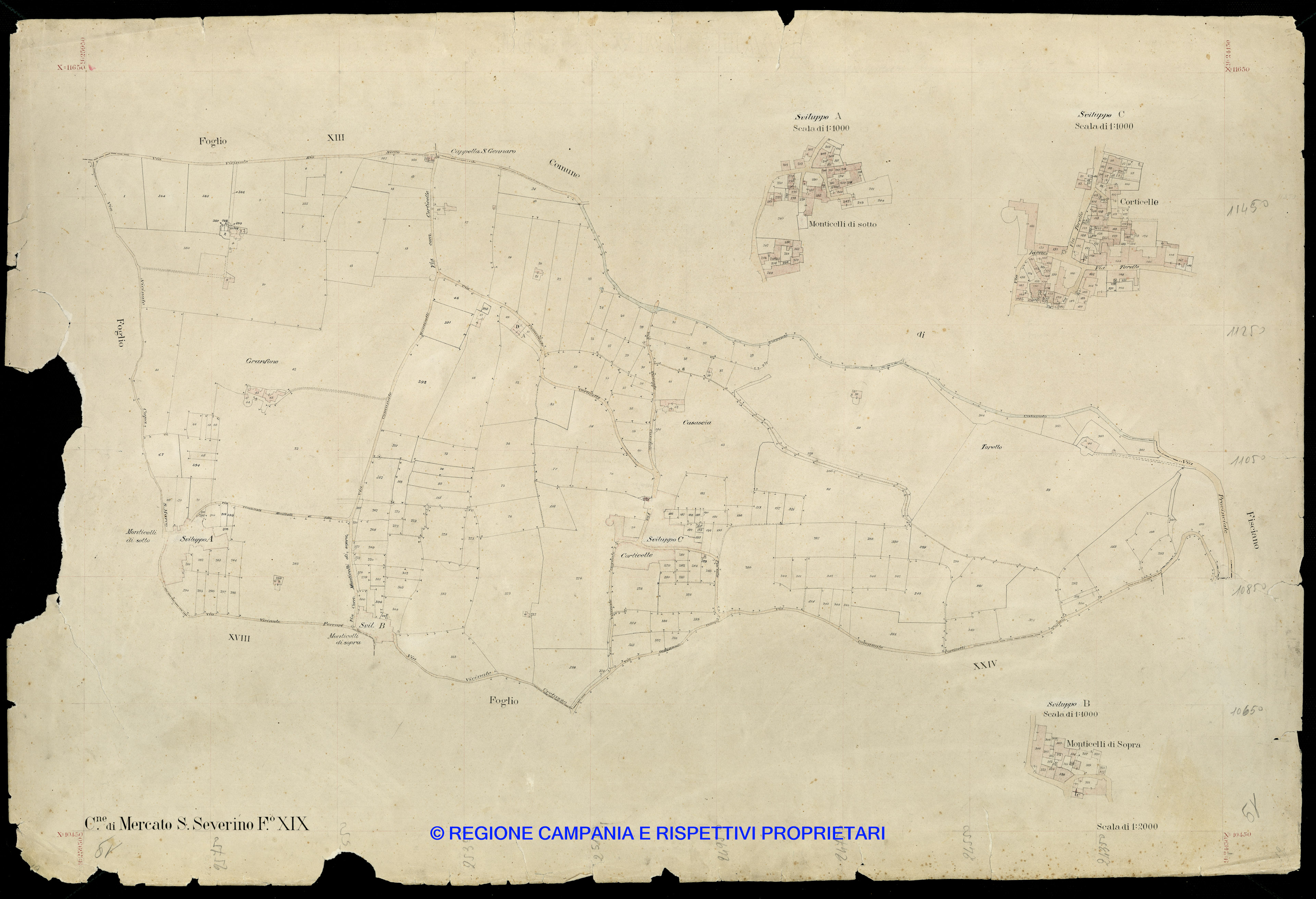 Mappa