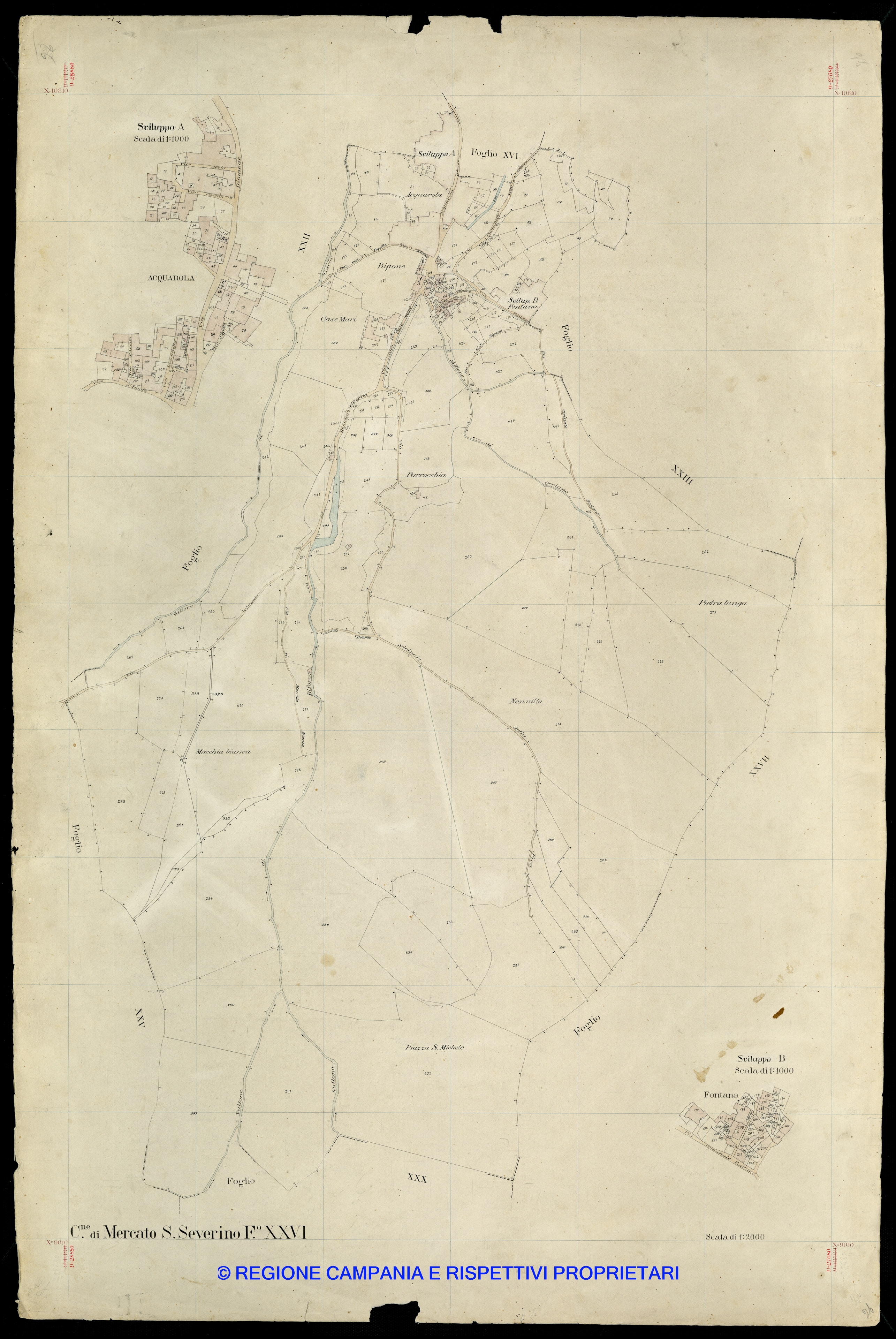 Mappa