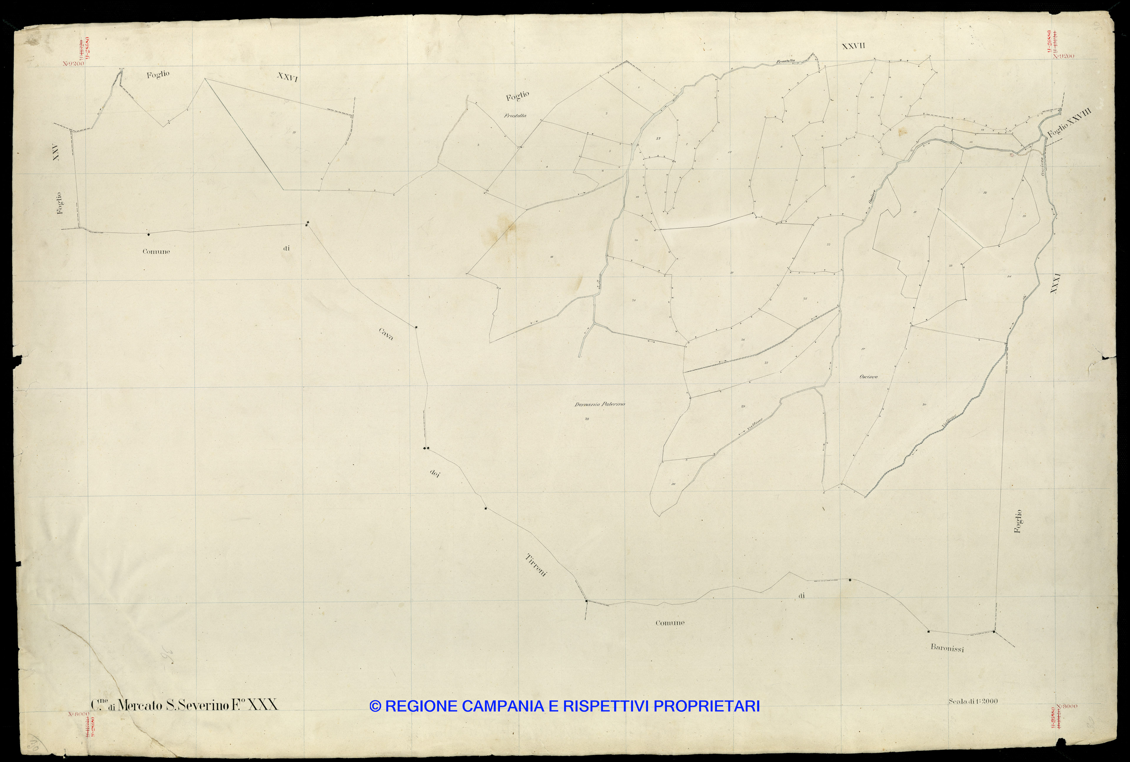 Mappa
