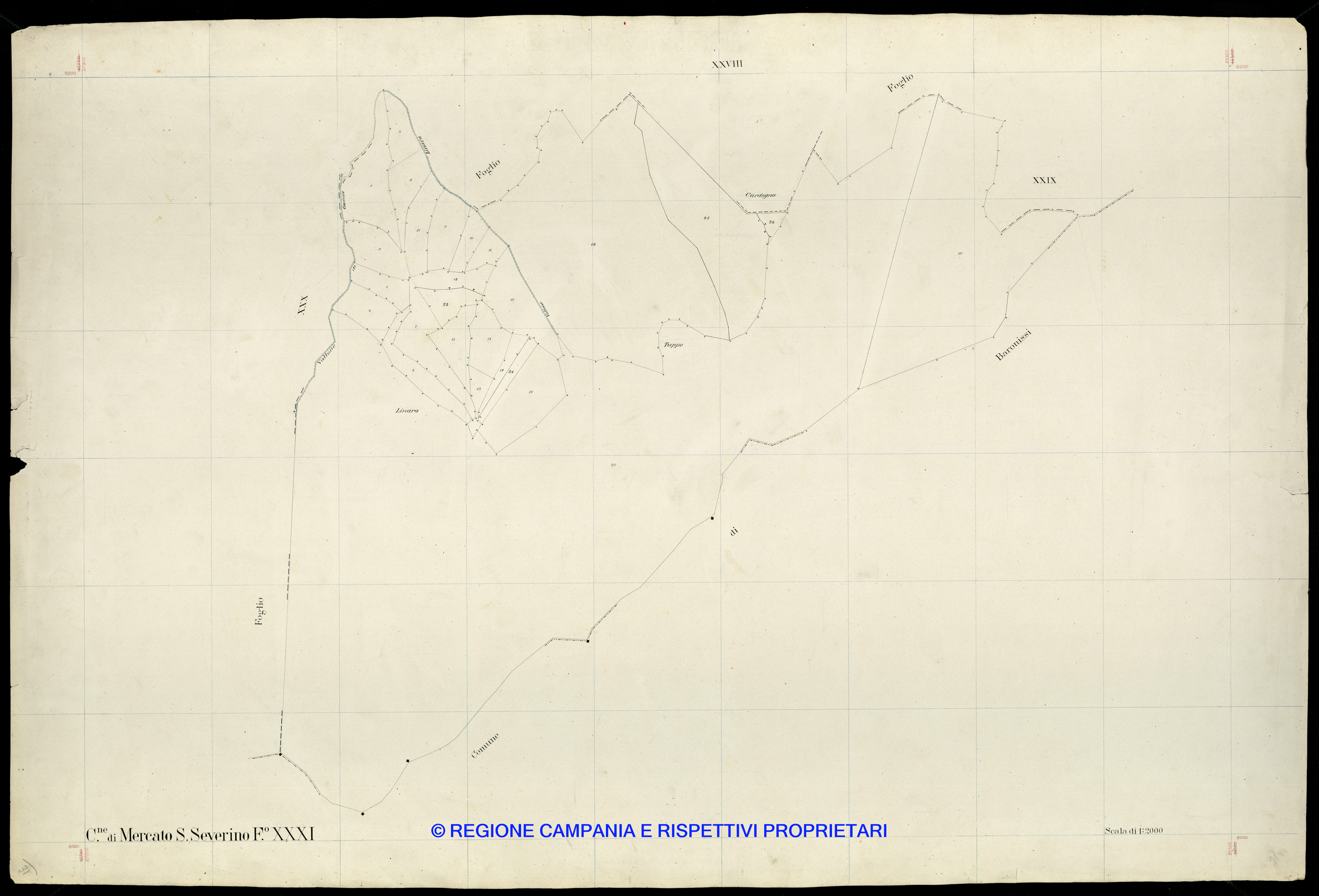 Mappa