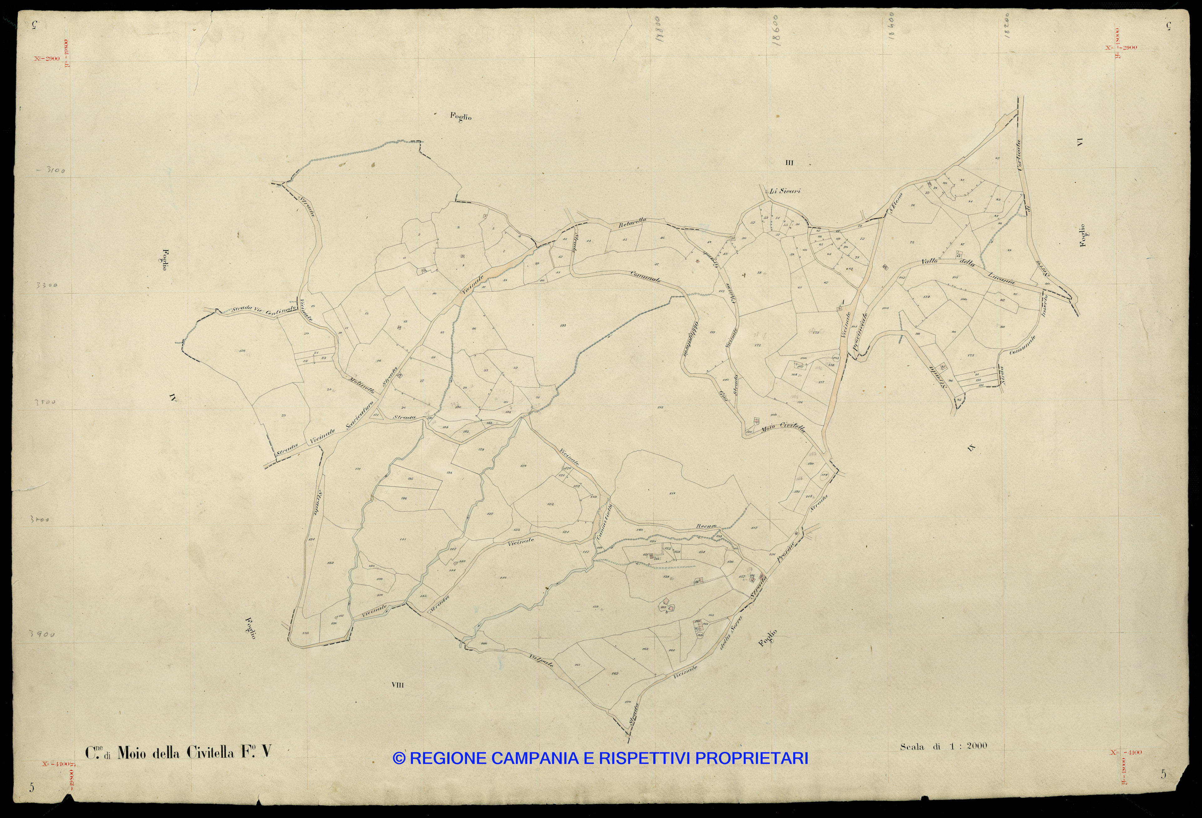 Mappa