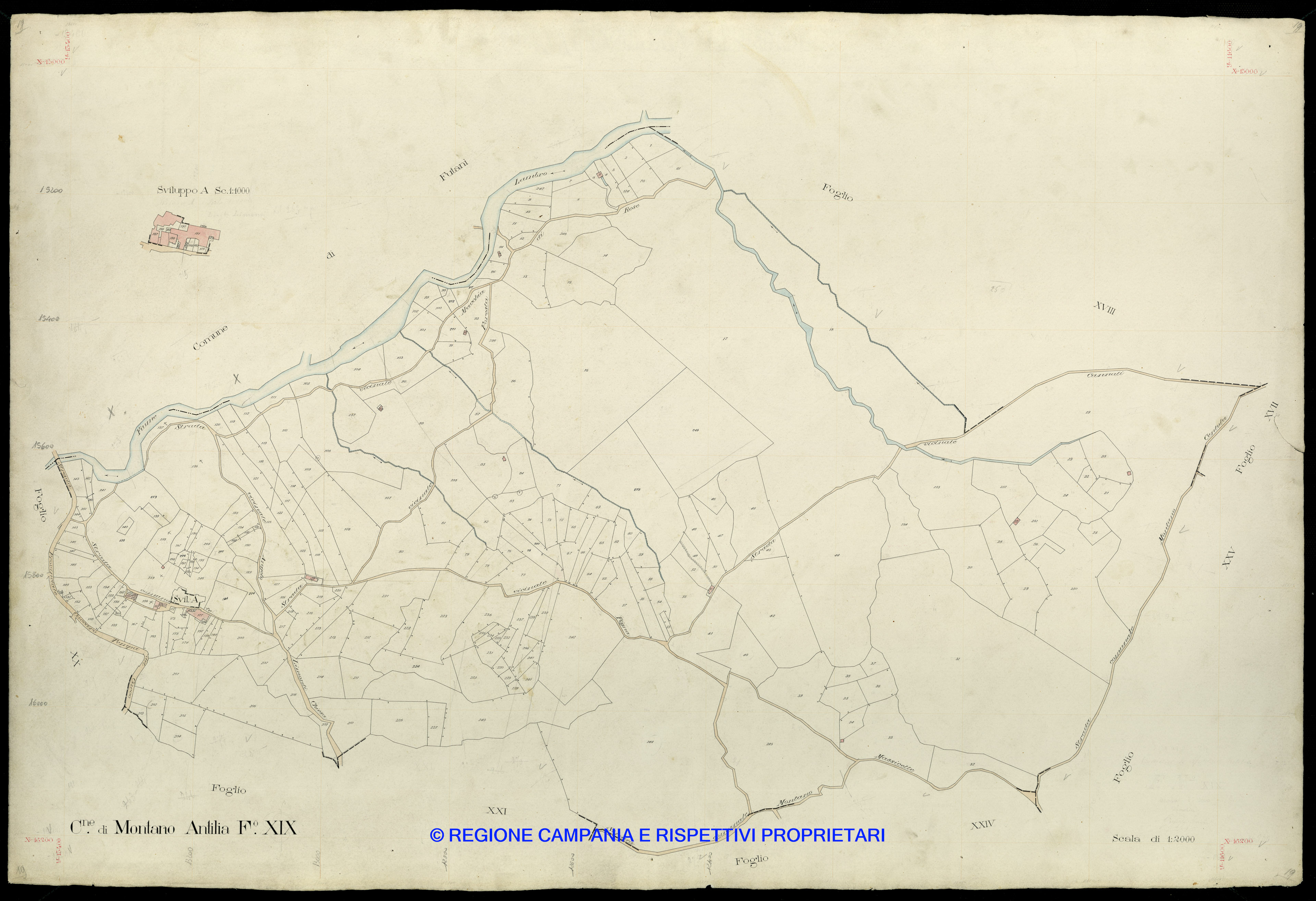 Mappa