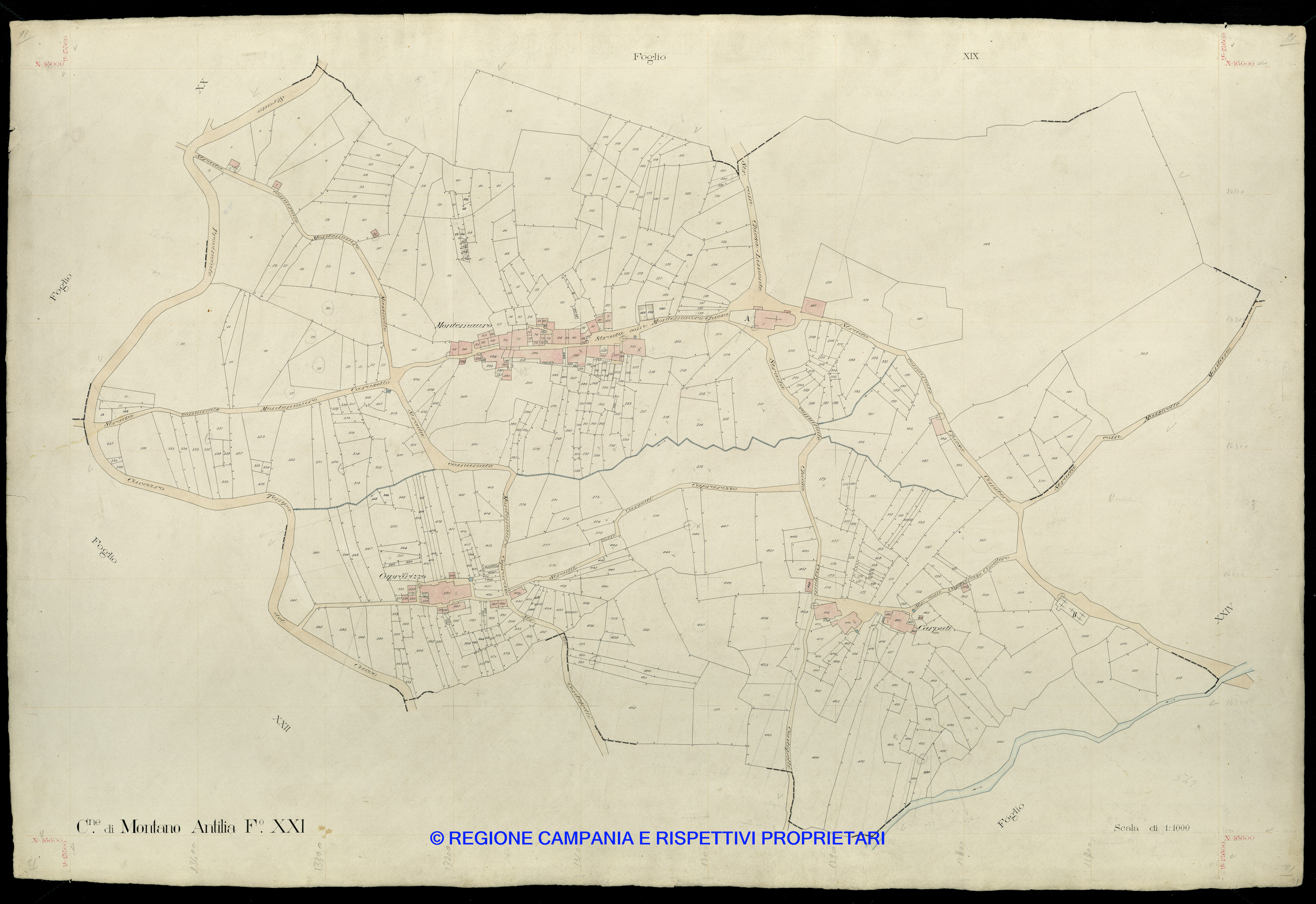 Mappa