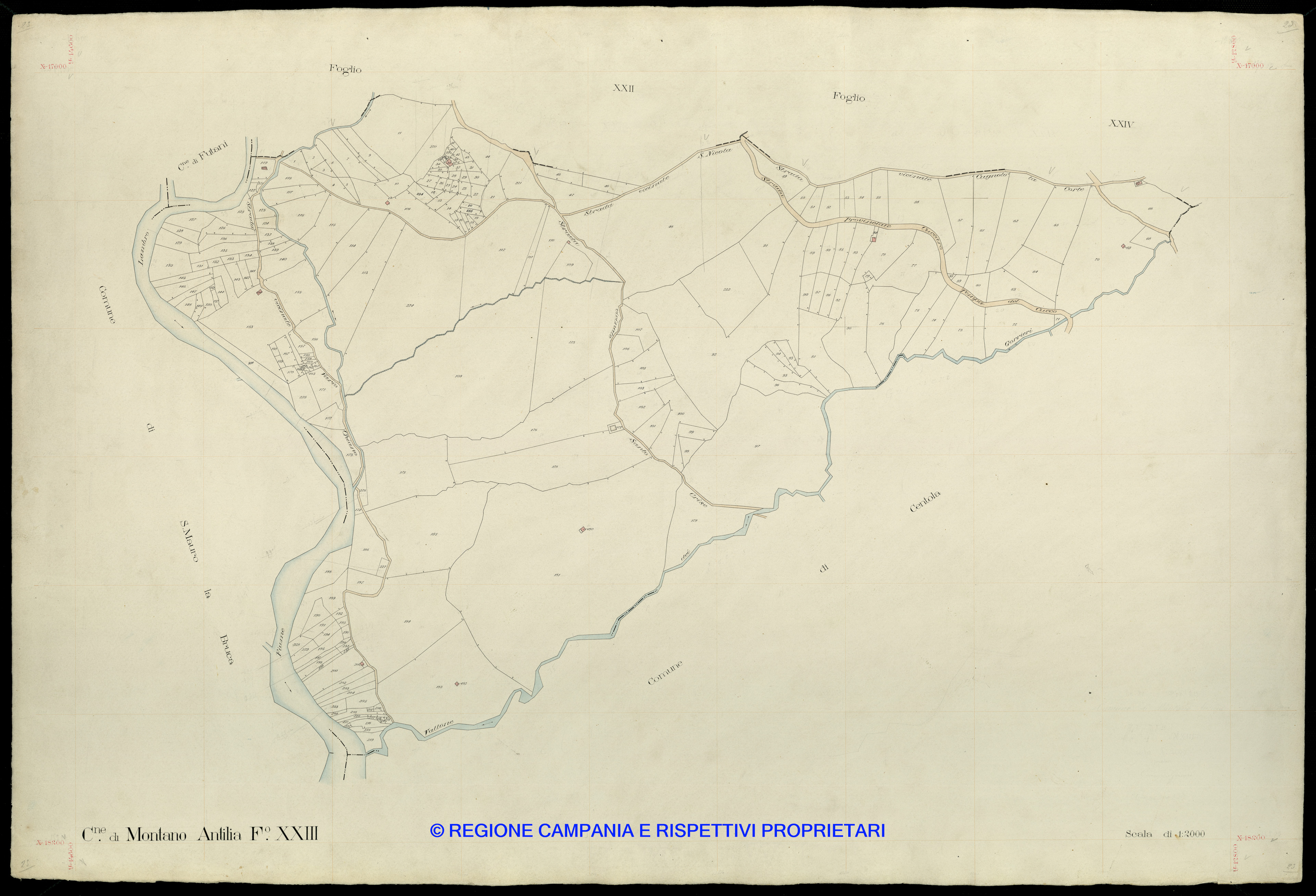 Mappa