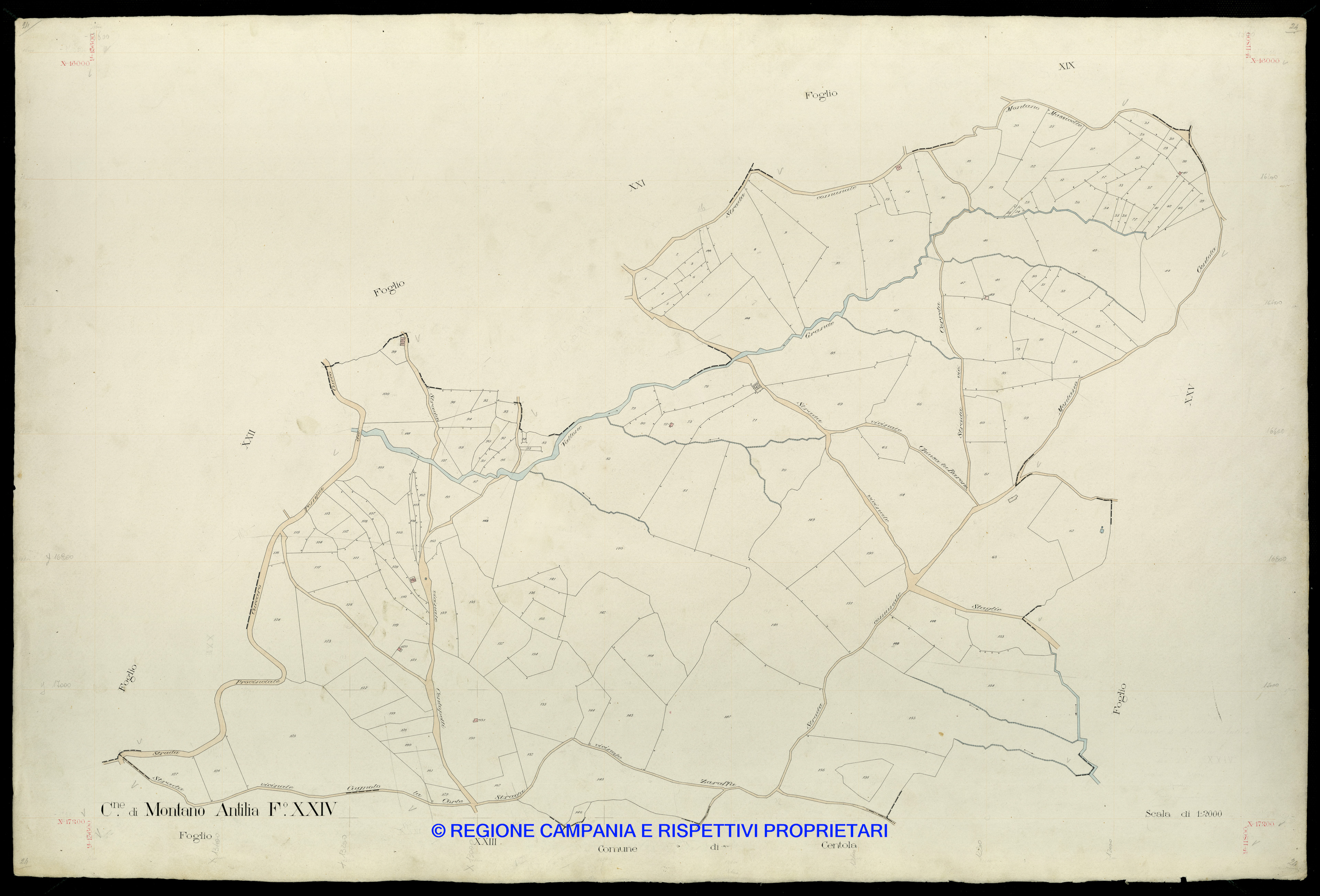Mappa