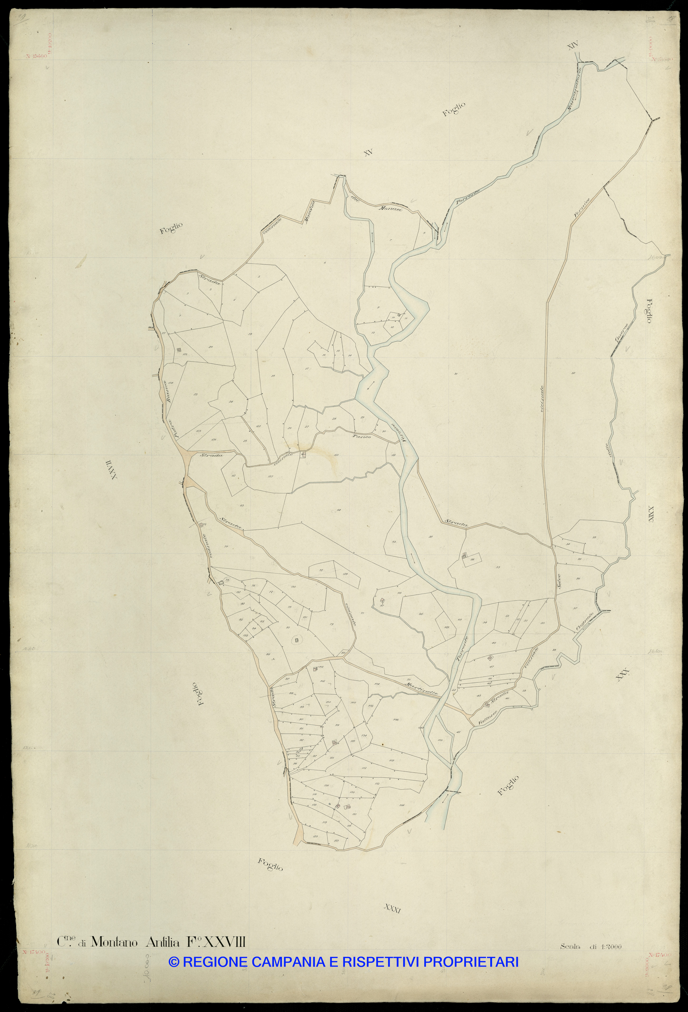 Mappa