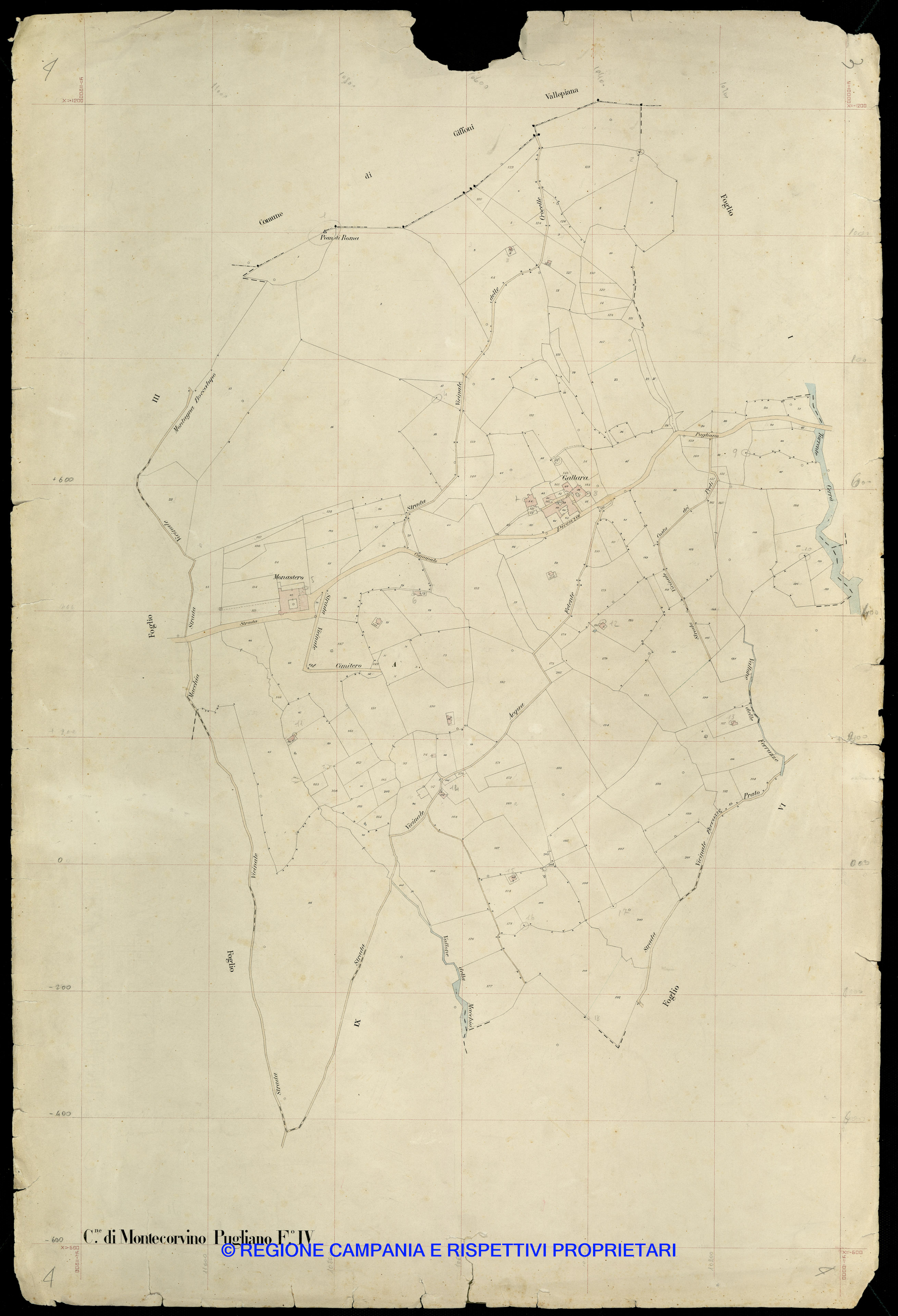 Mappa