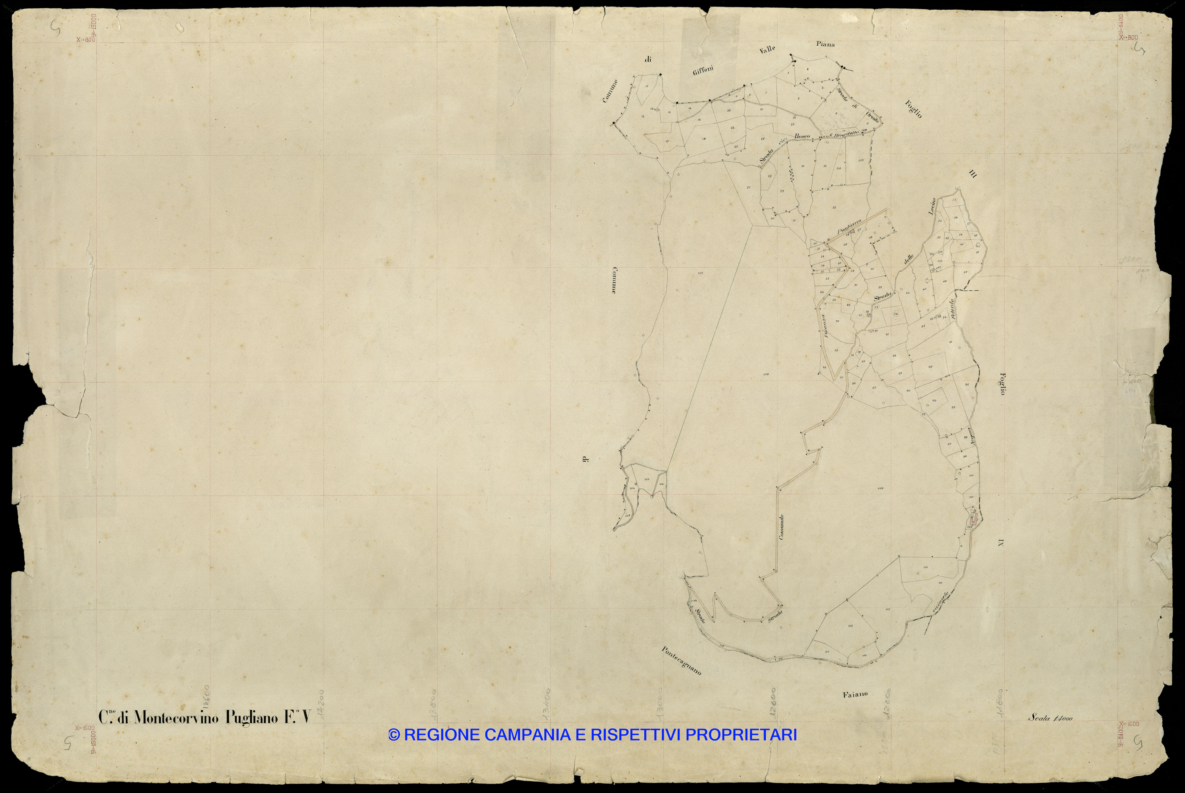 Mappa