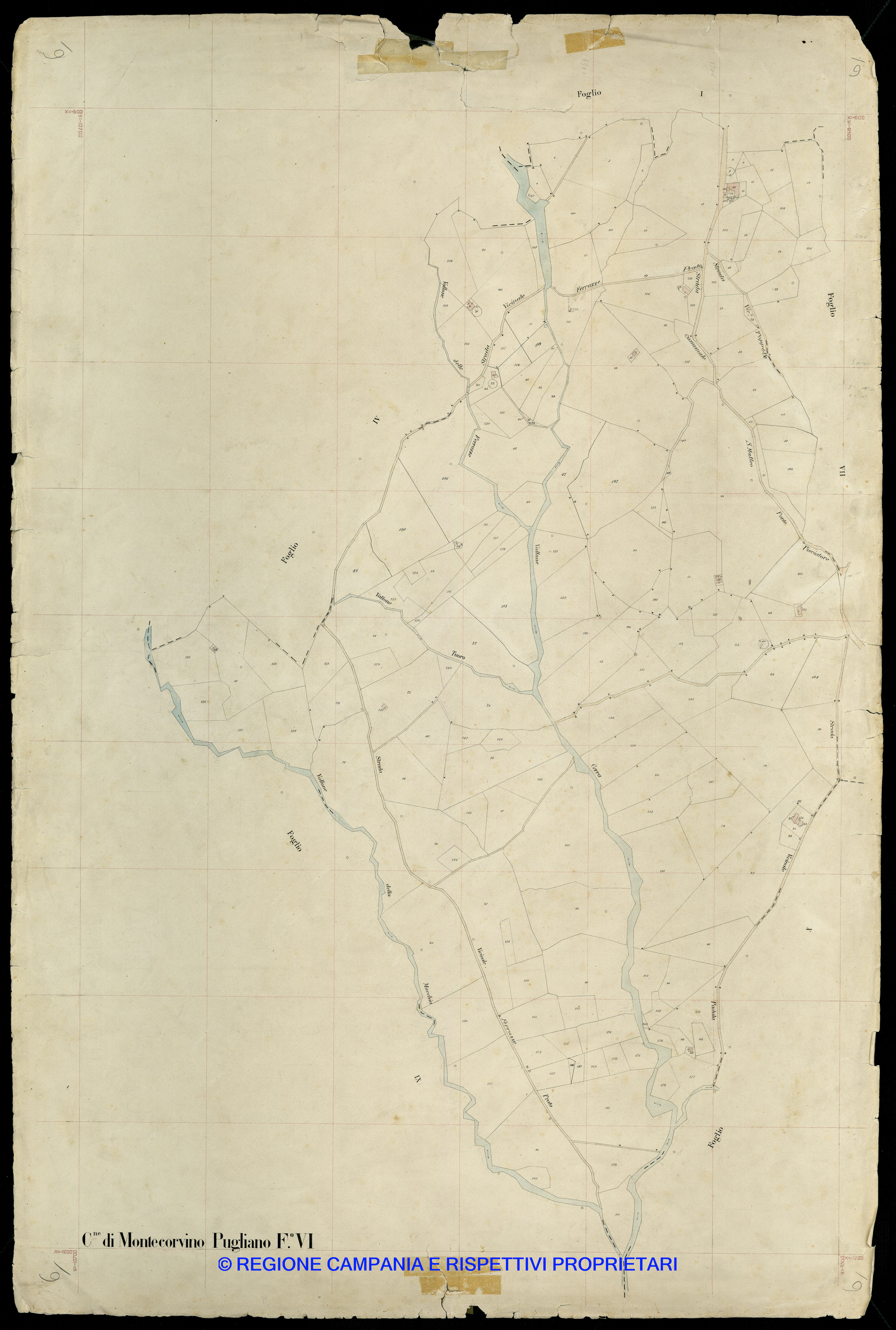 Mappa