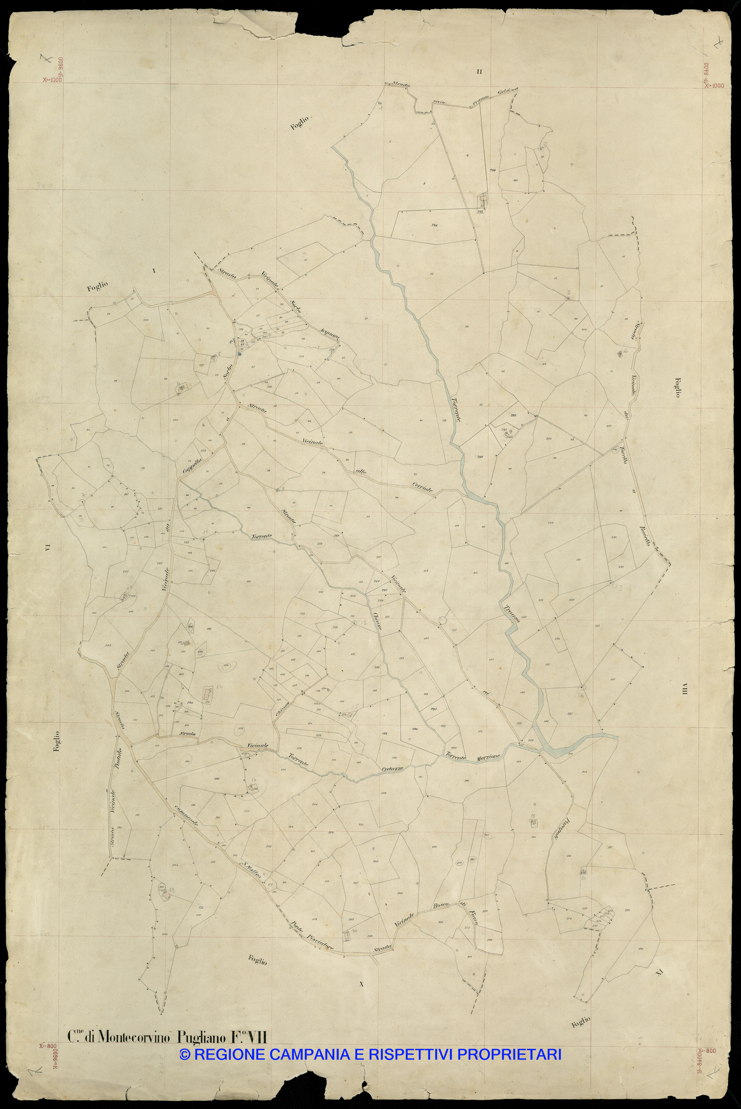 Mappa