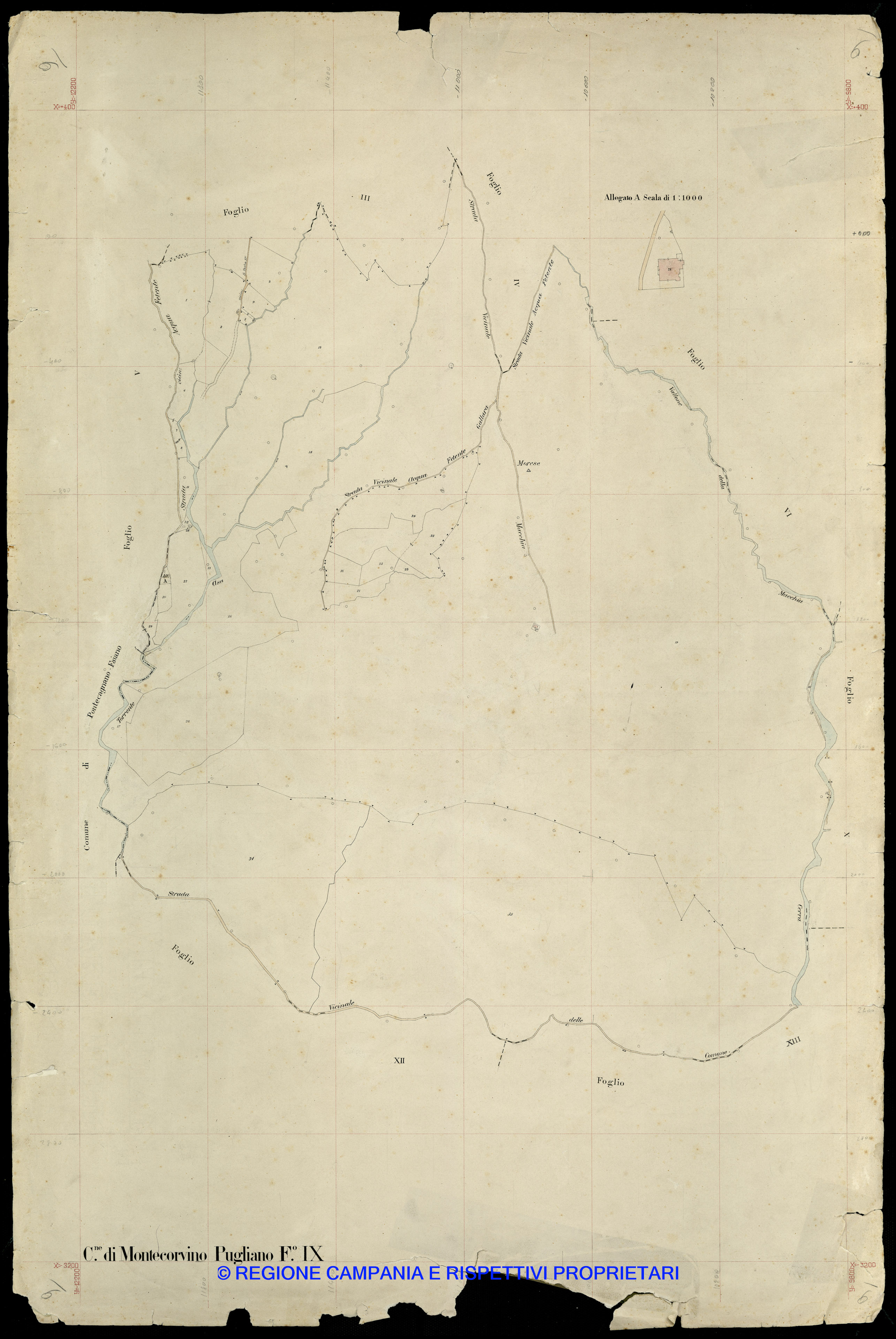 Mappa