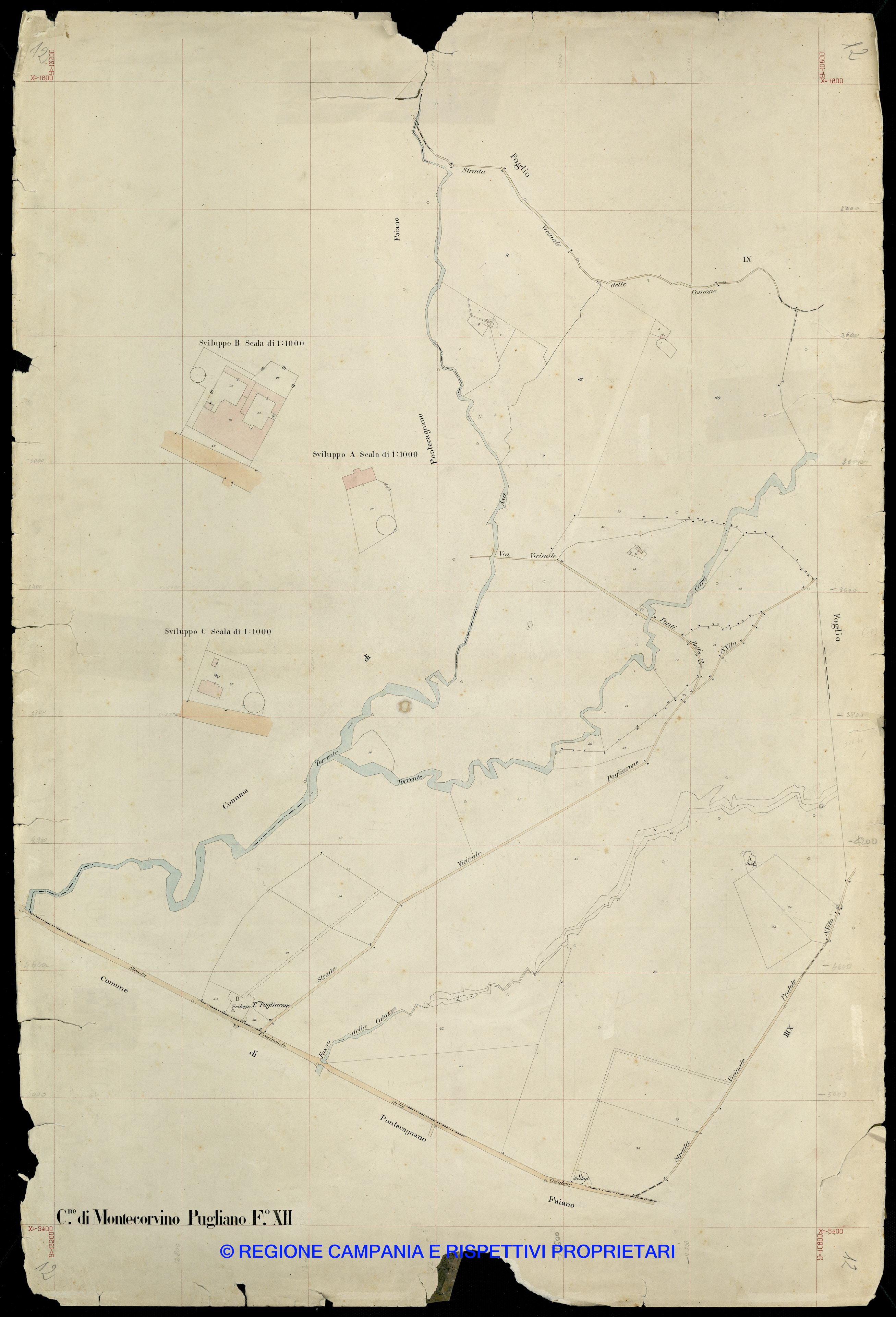 Mappa