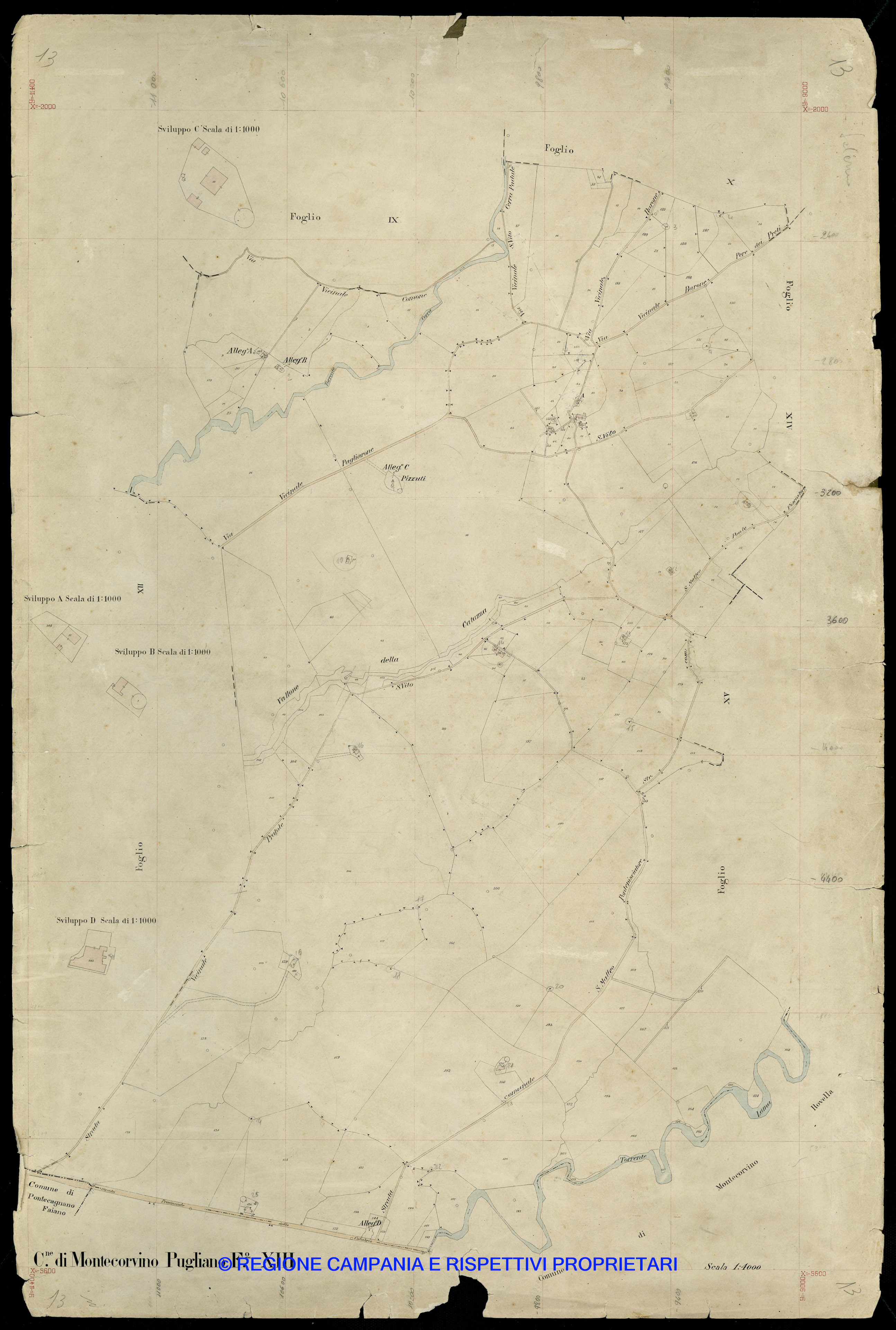 Mappa