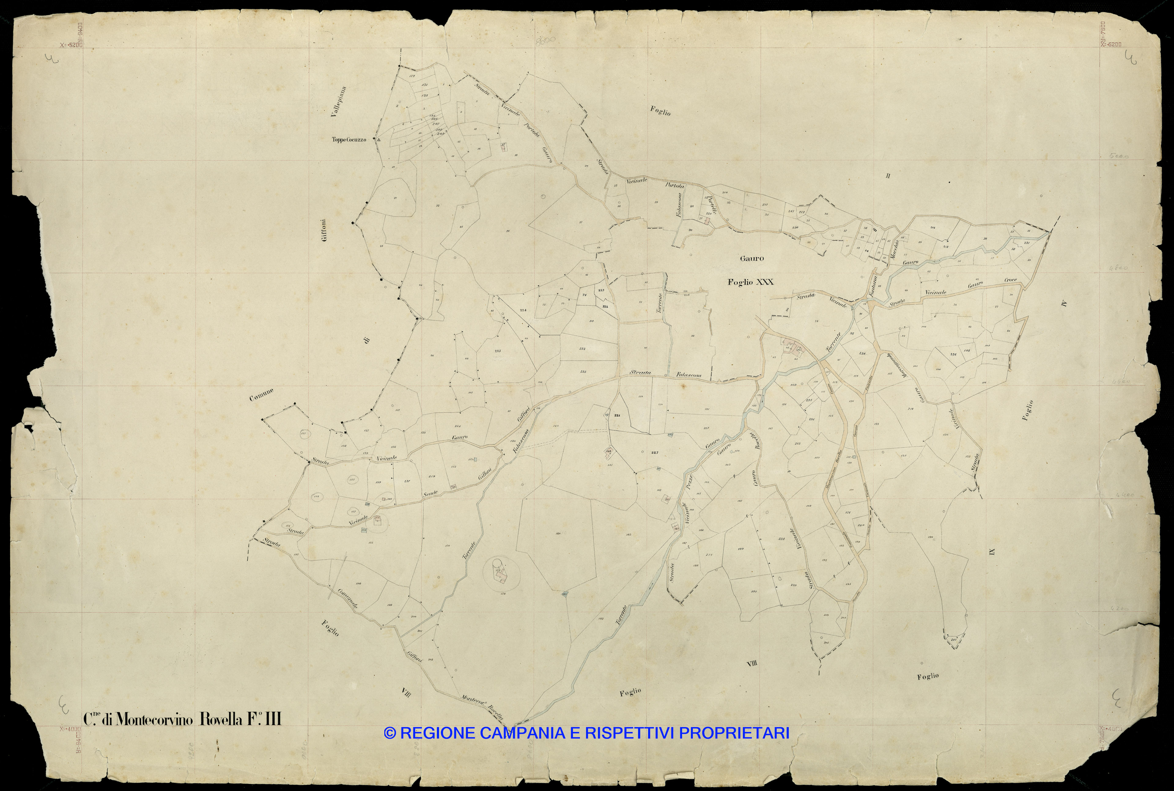 Mappa