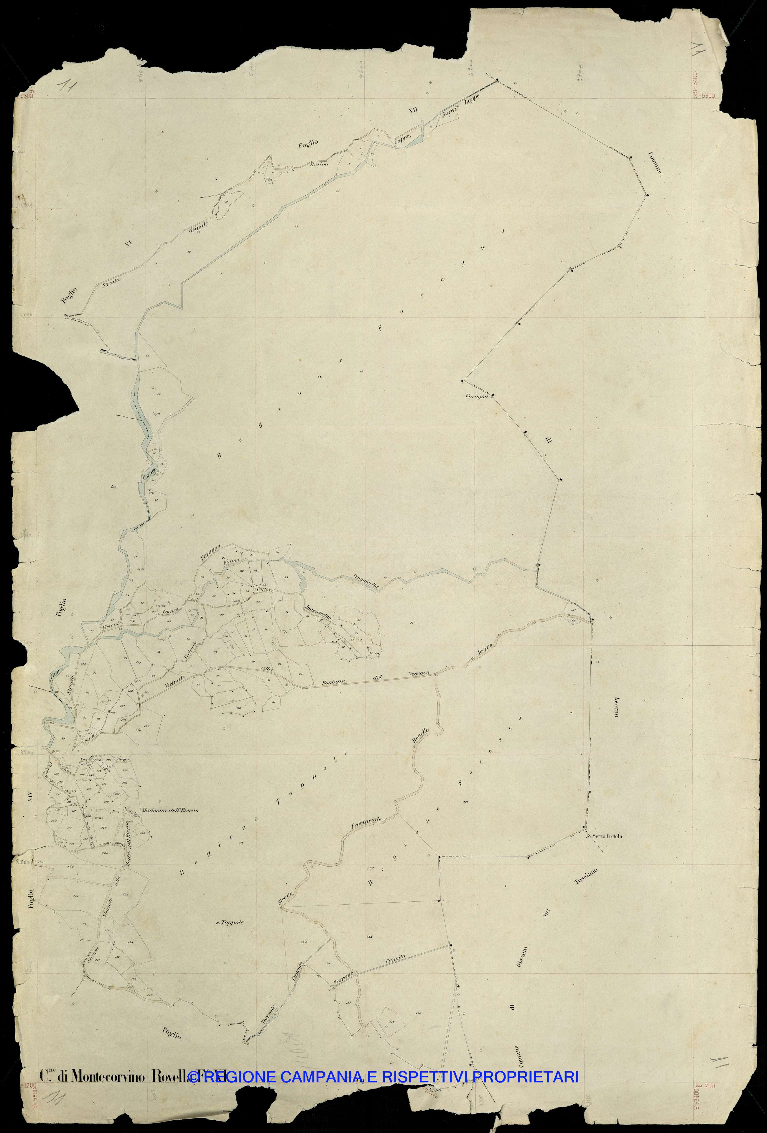 Mappa