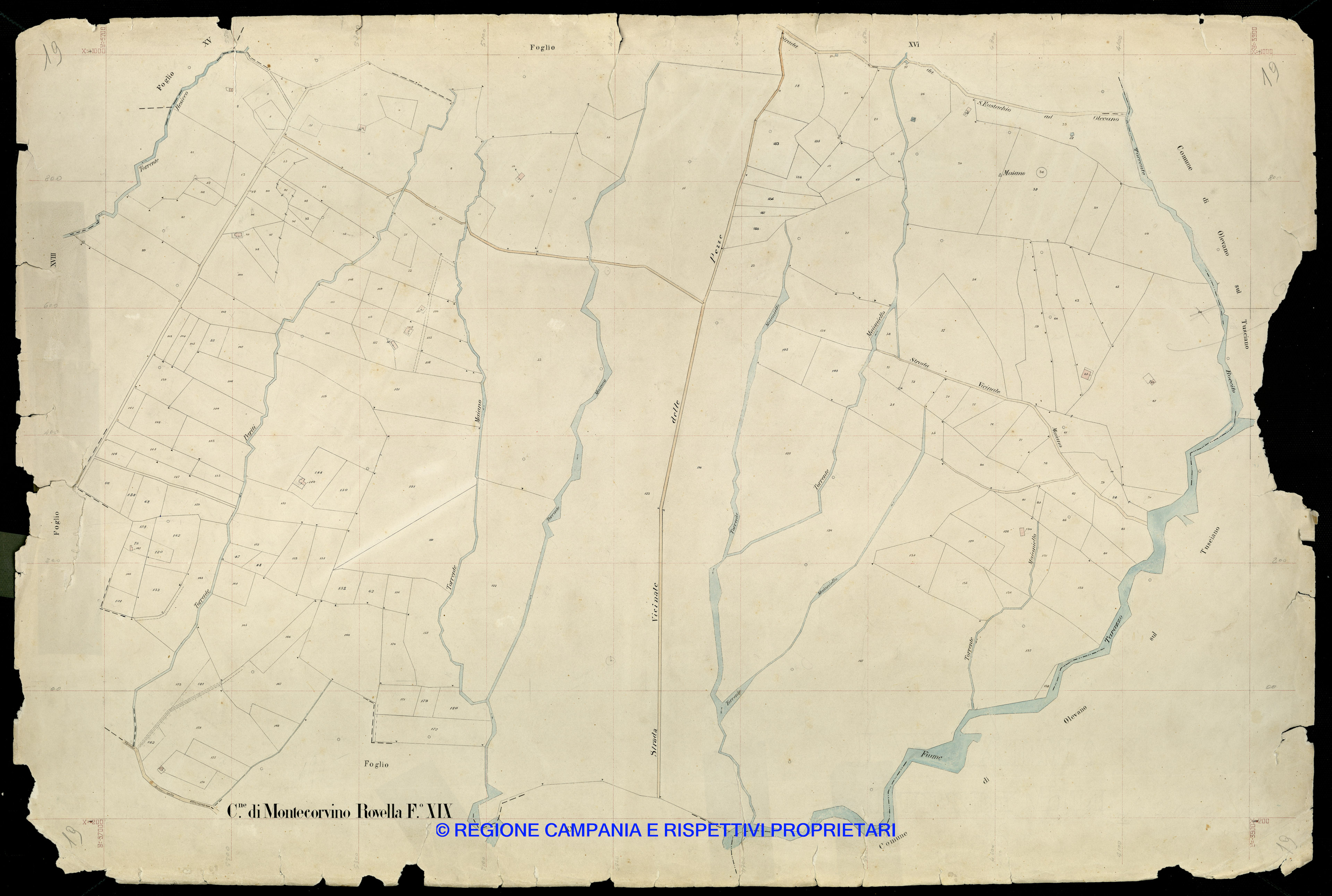 Mappa
