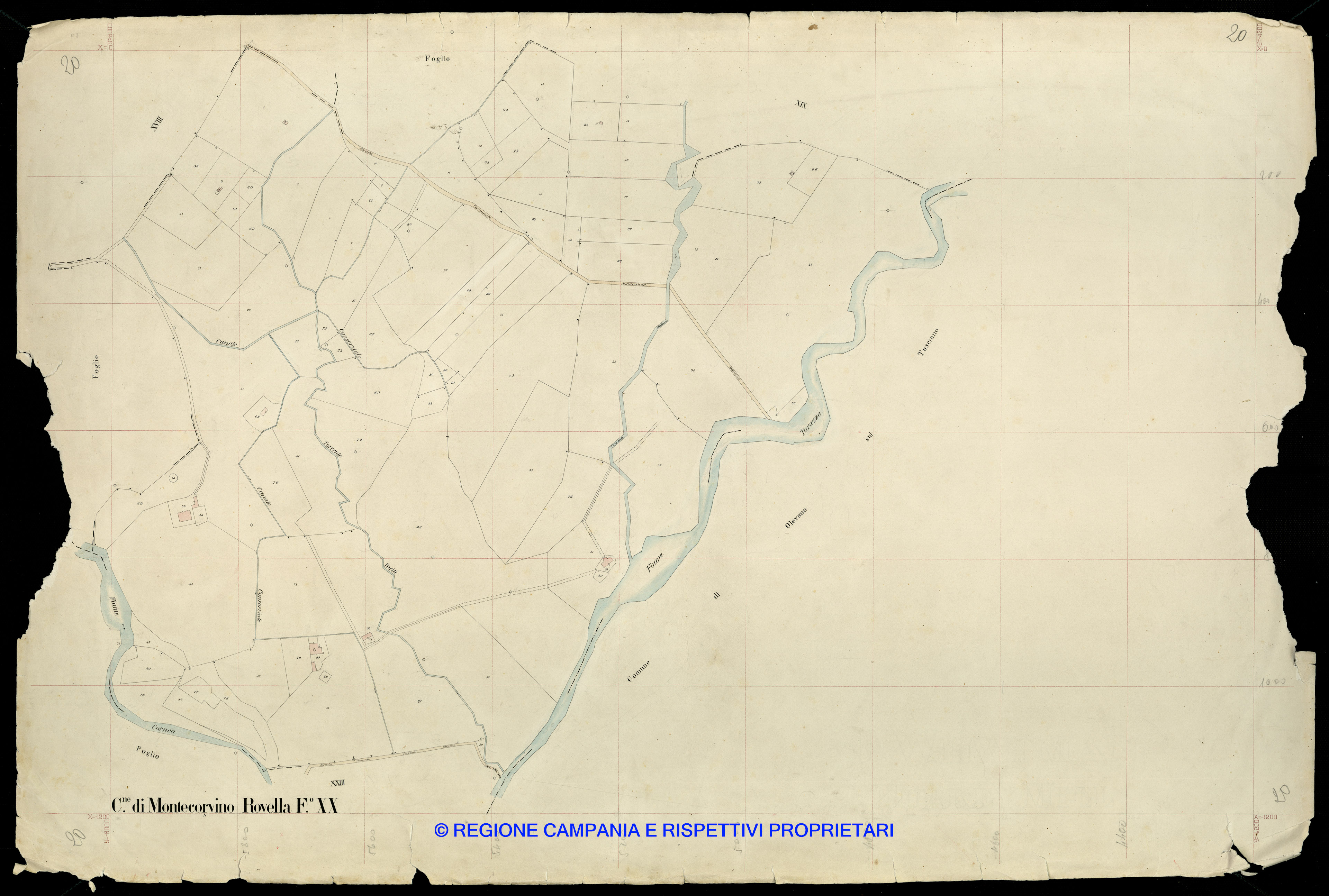 Mappa