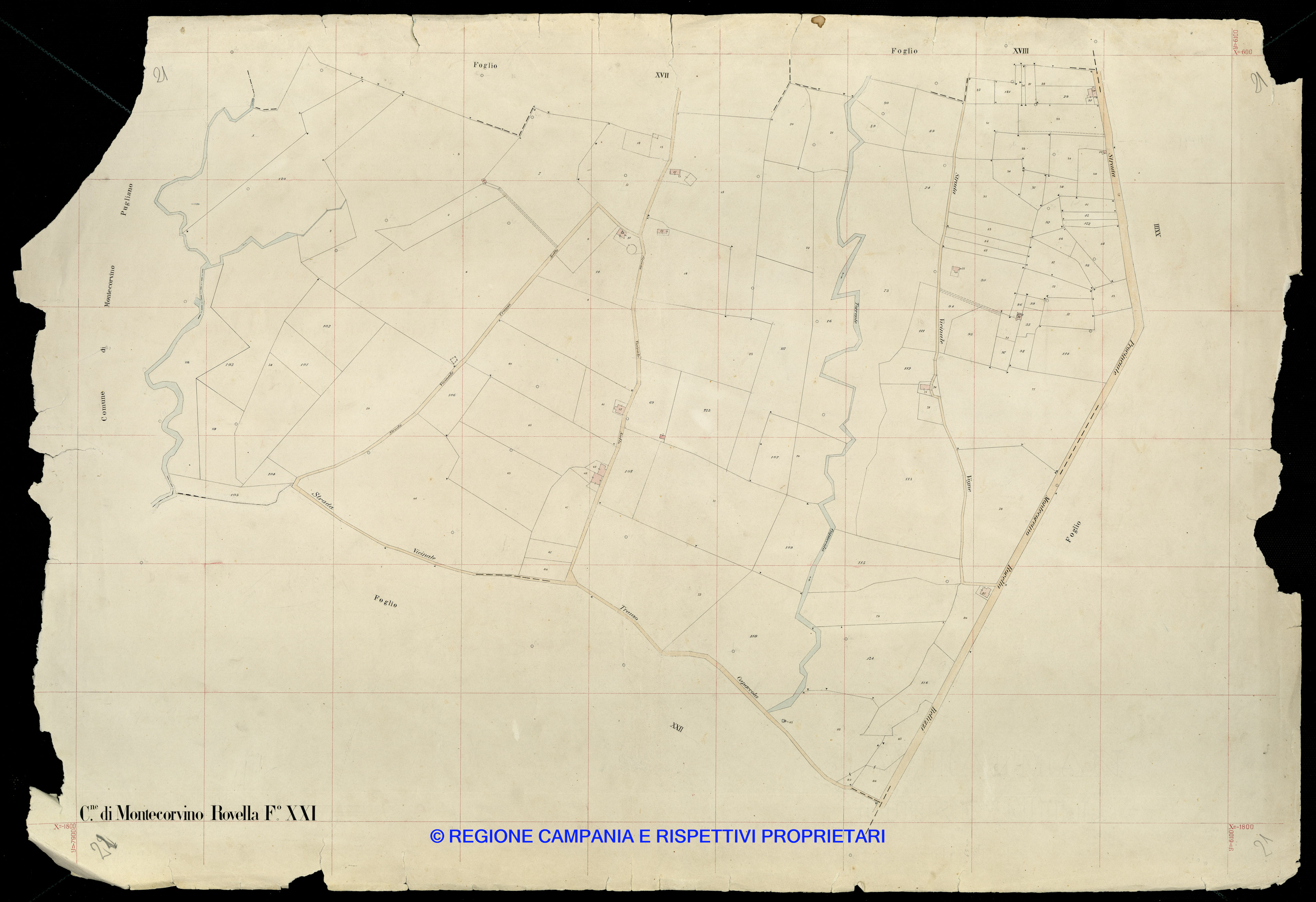Mappa