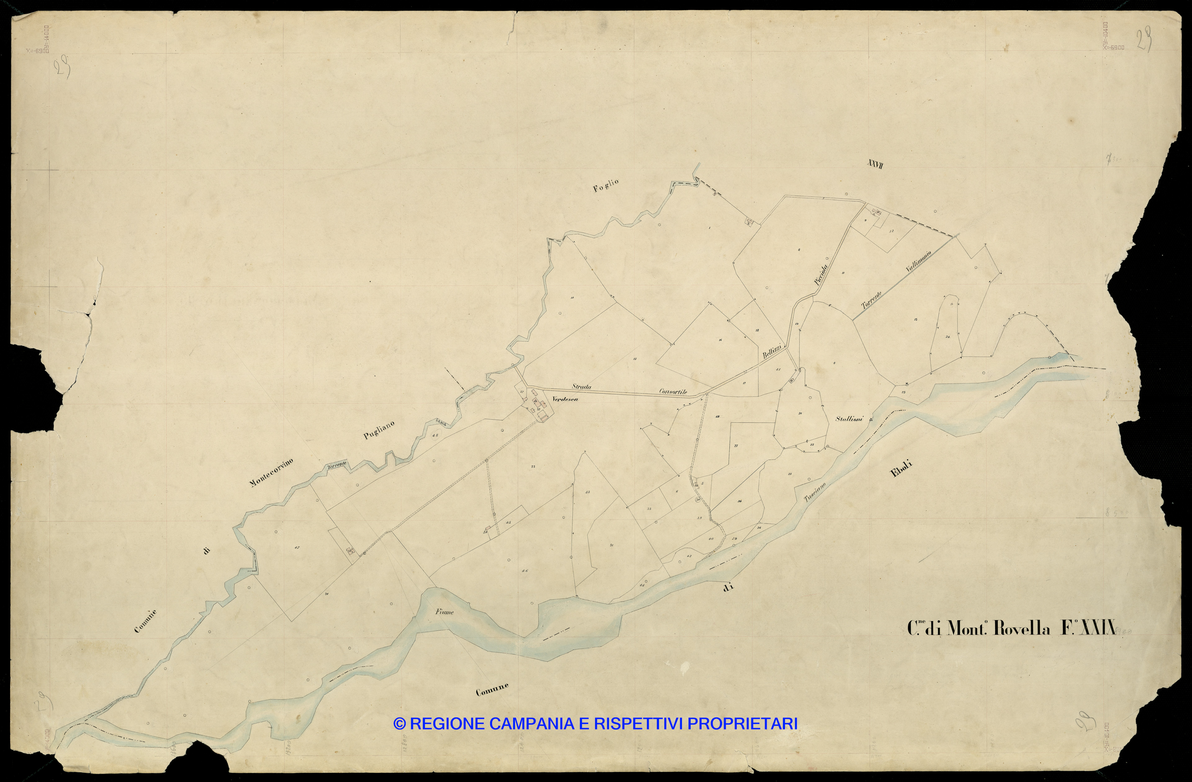 Mappa