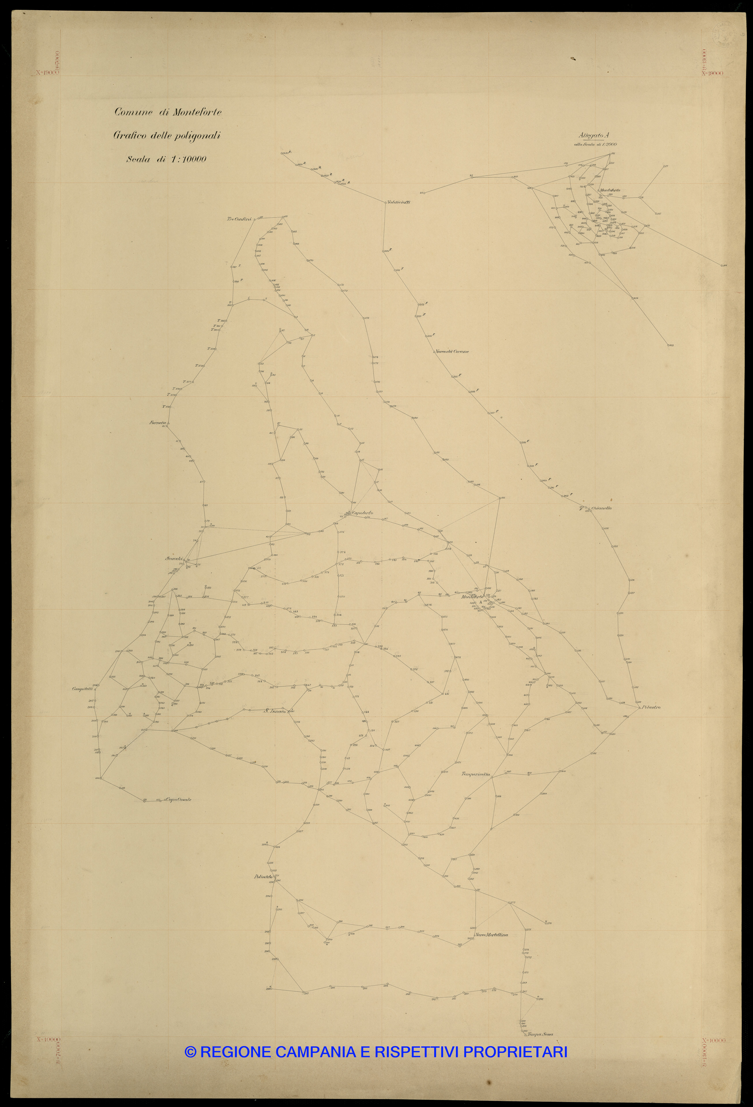 Grafico delle Poligonali