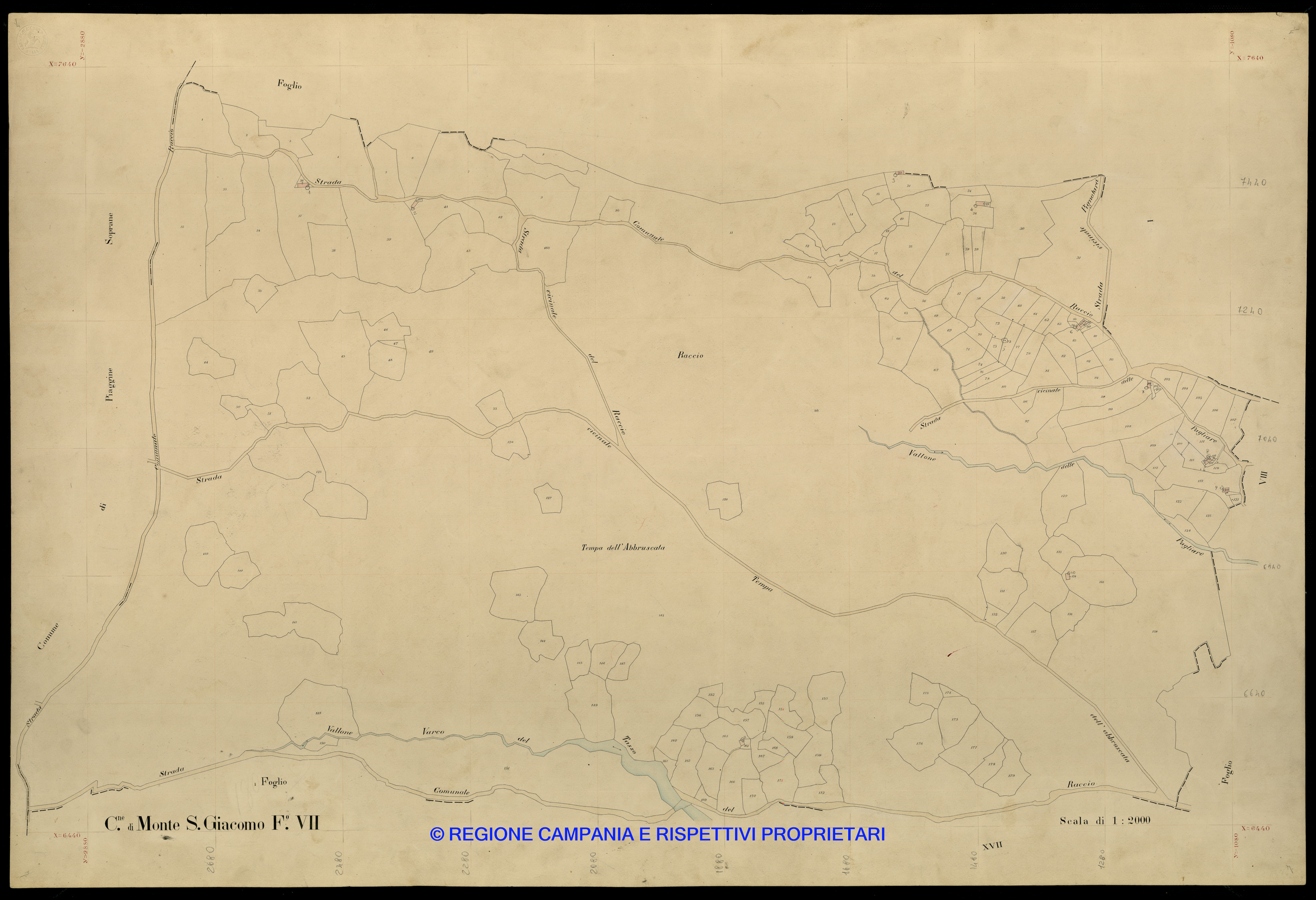 Mappa