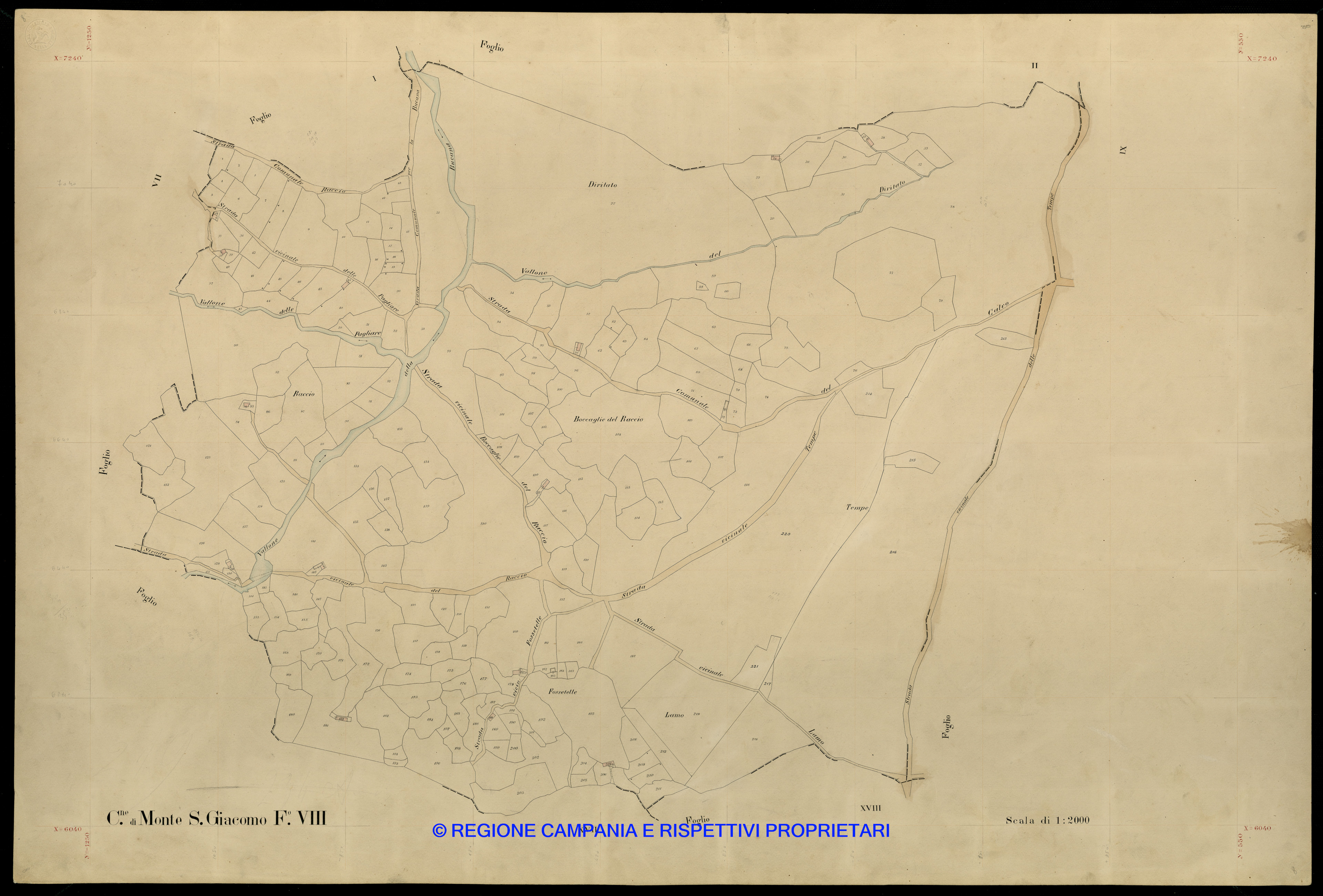 Mappa