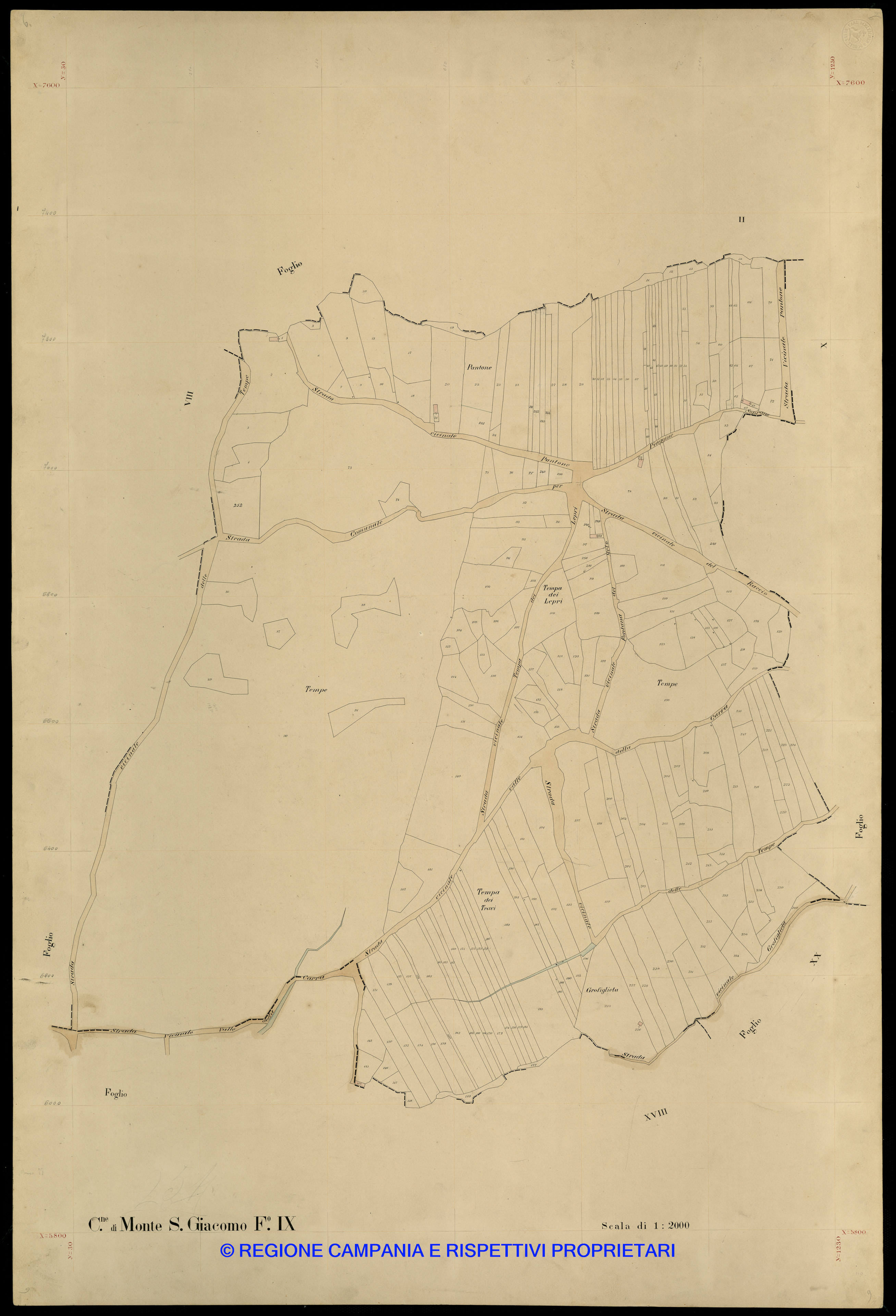 Mappa