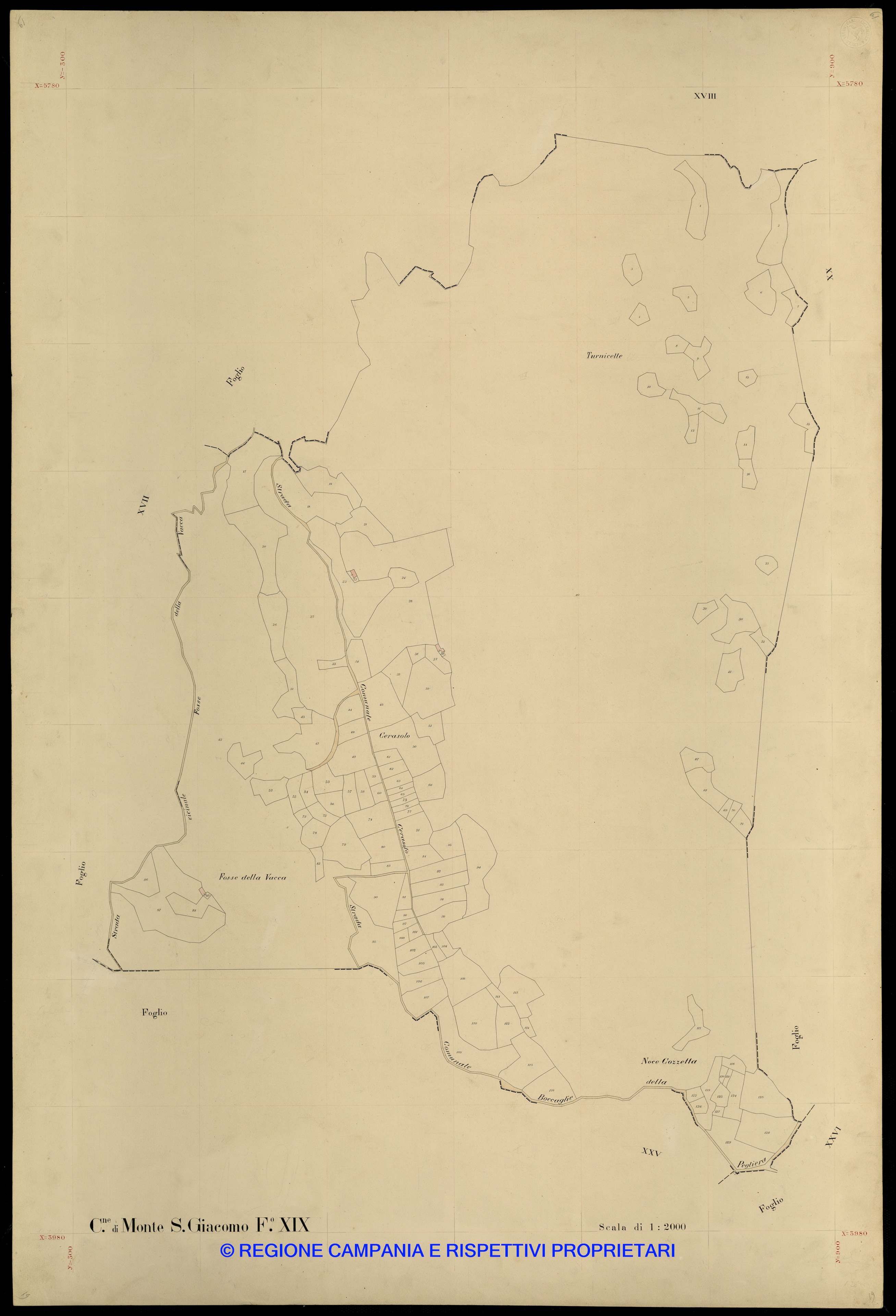 Mappa