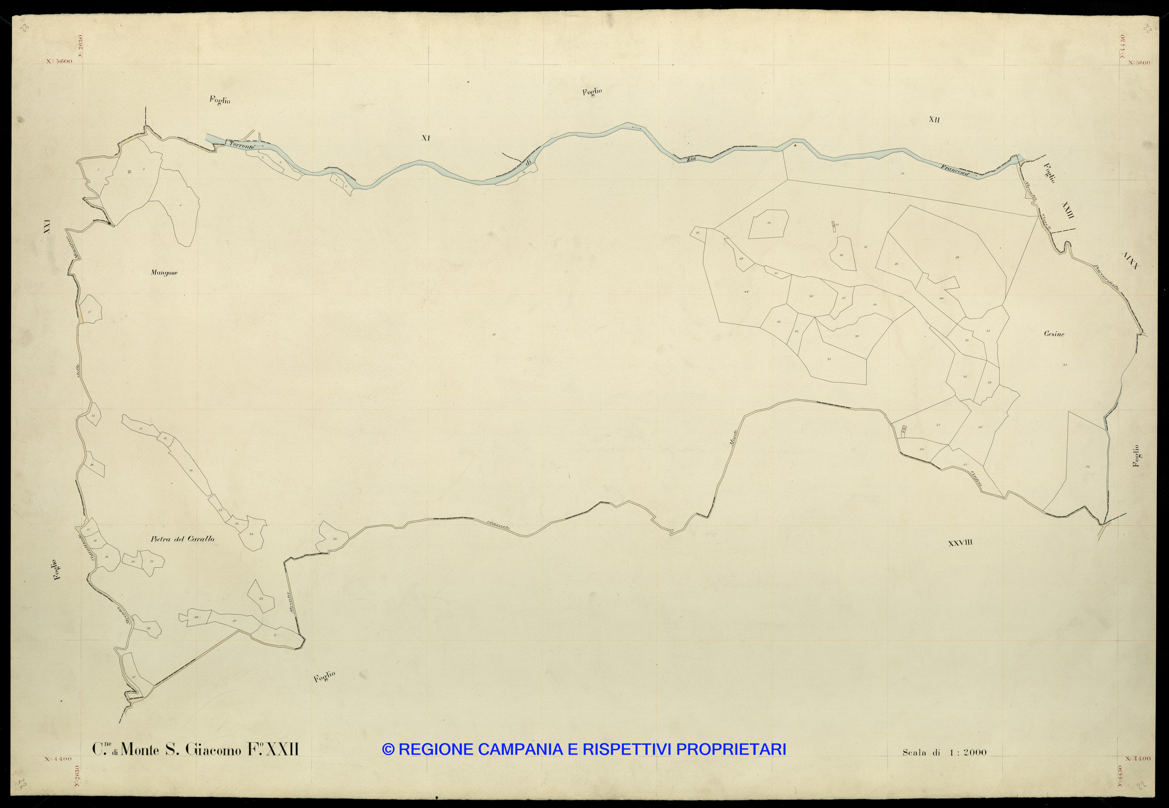 Mappa