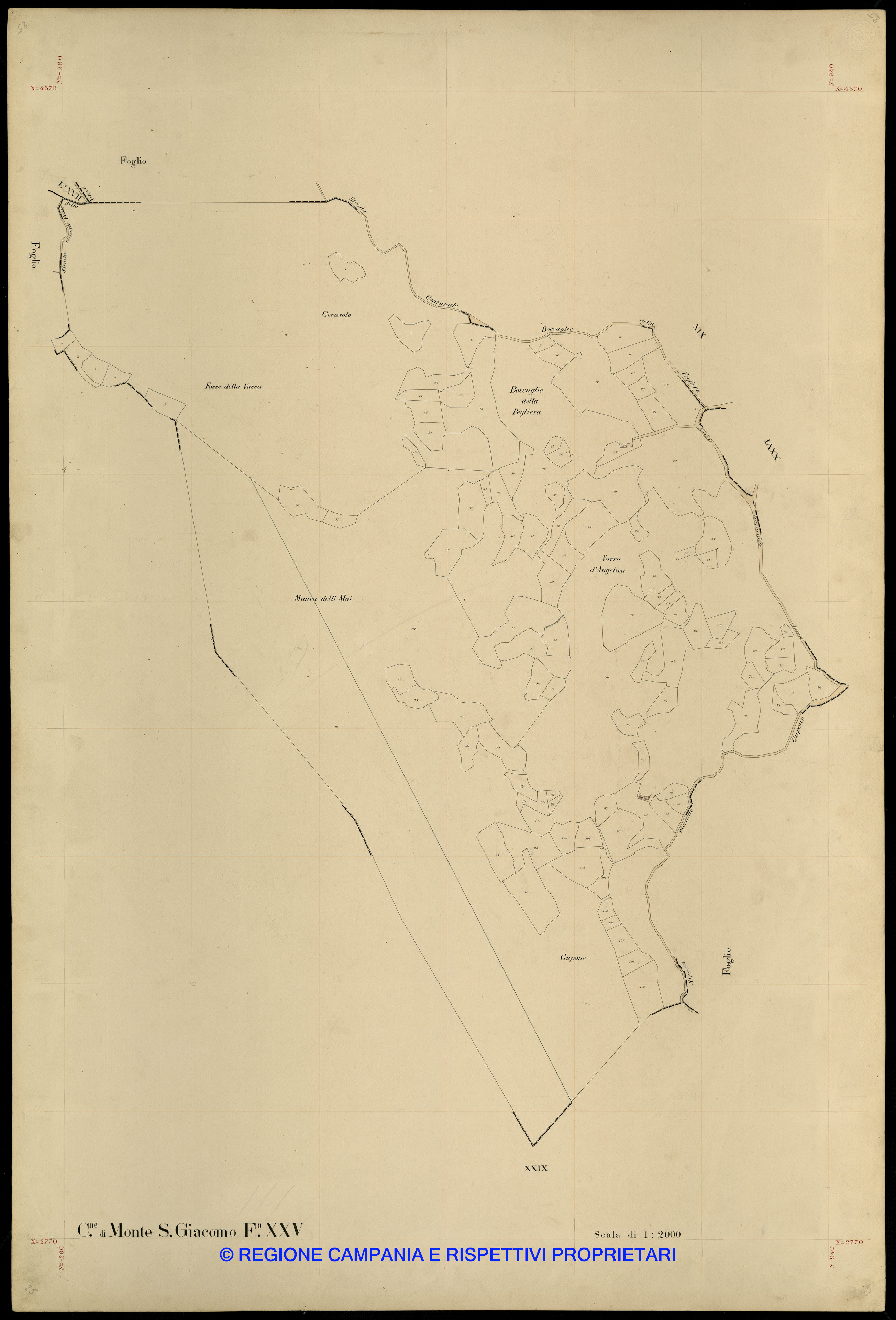 Mappa