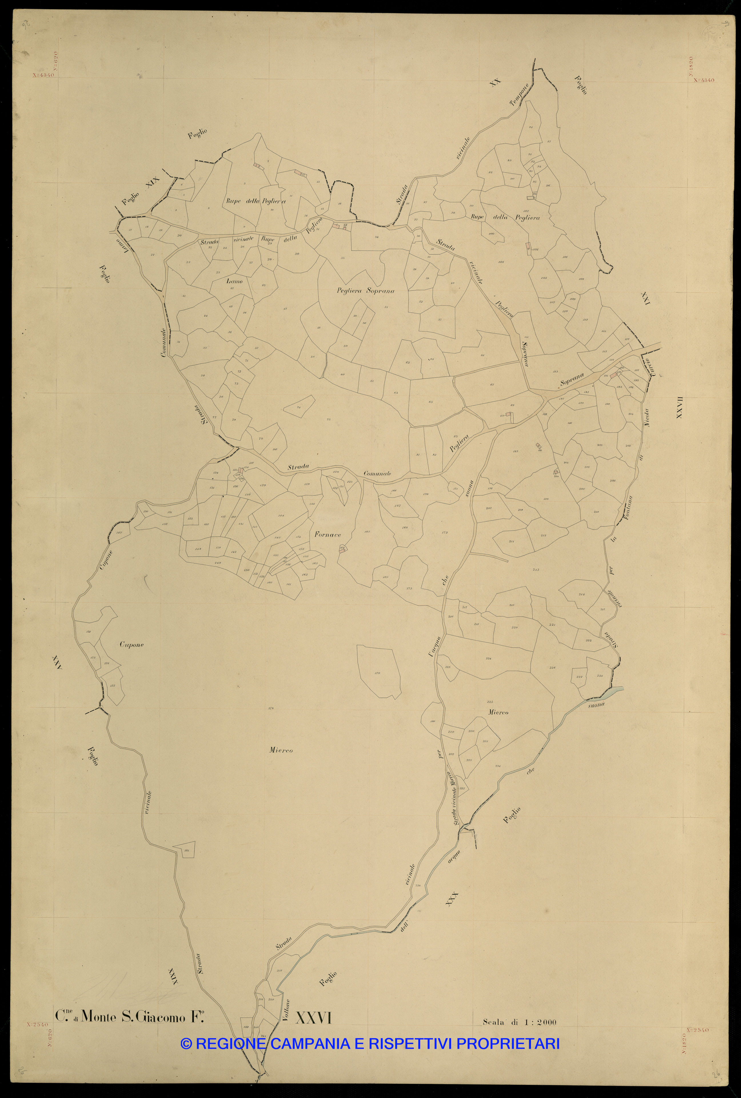 Mappa