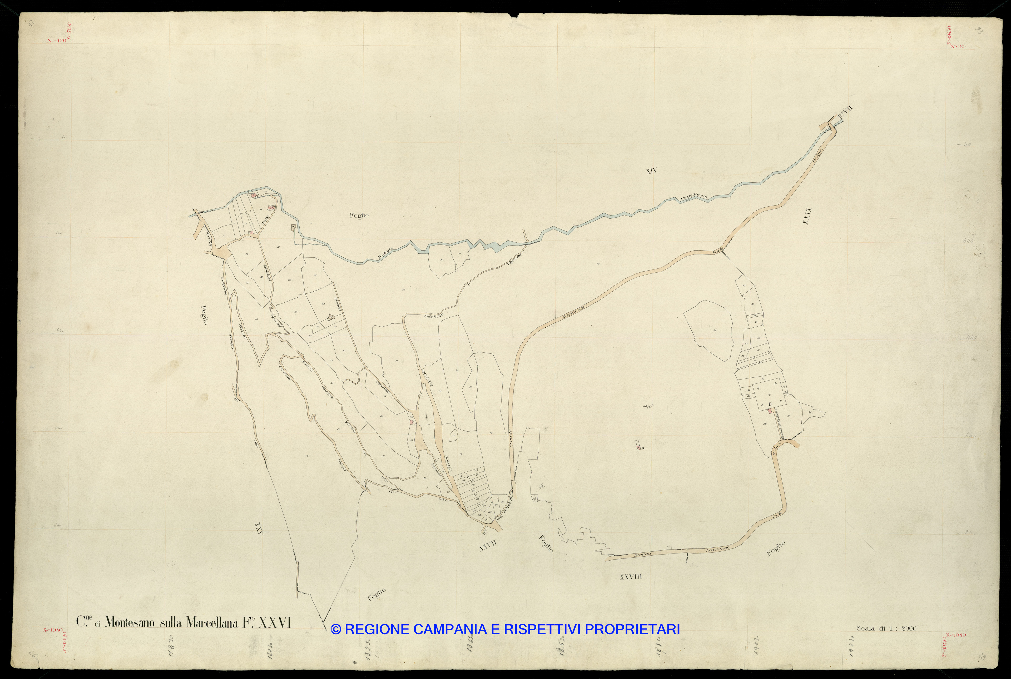 Mappa