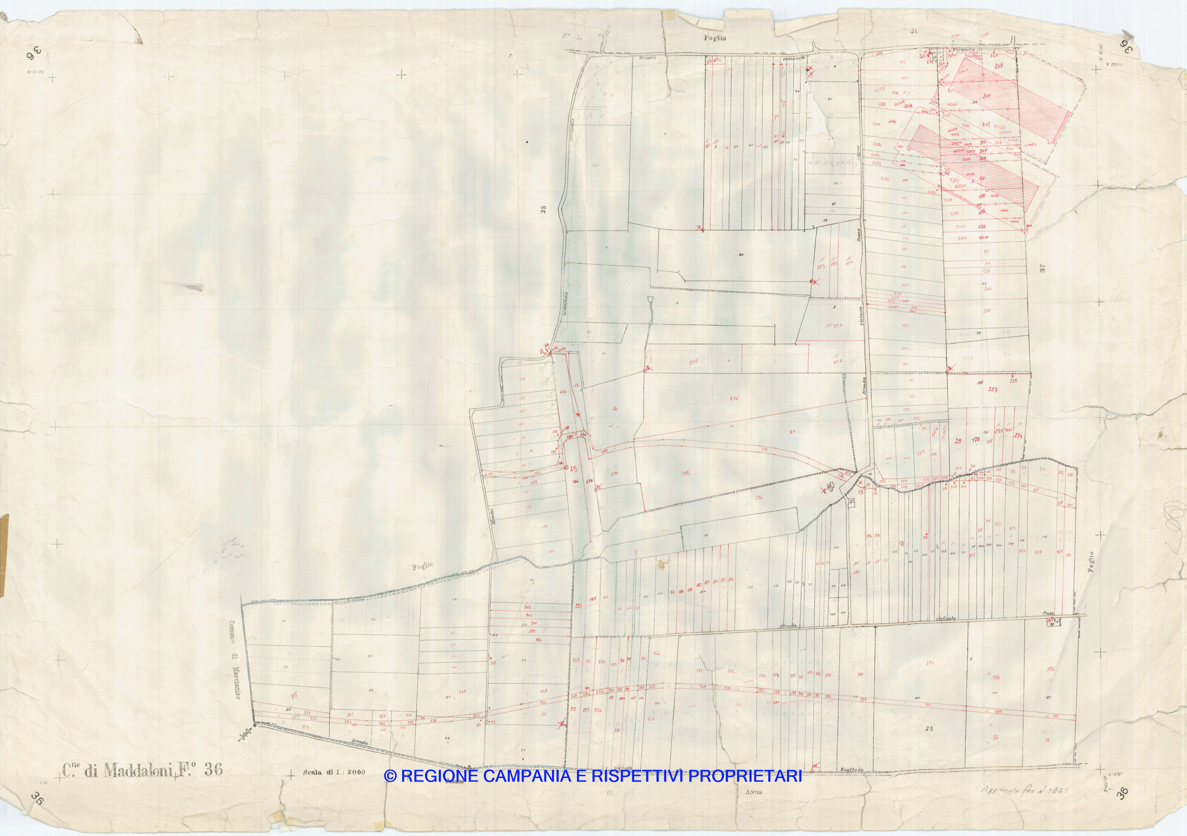 Mappa
