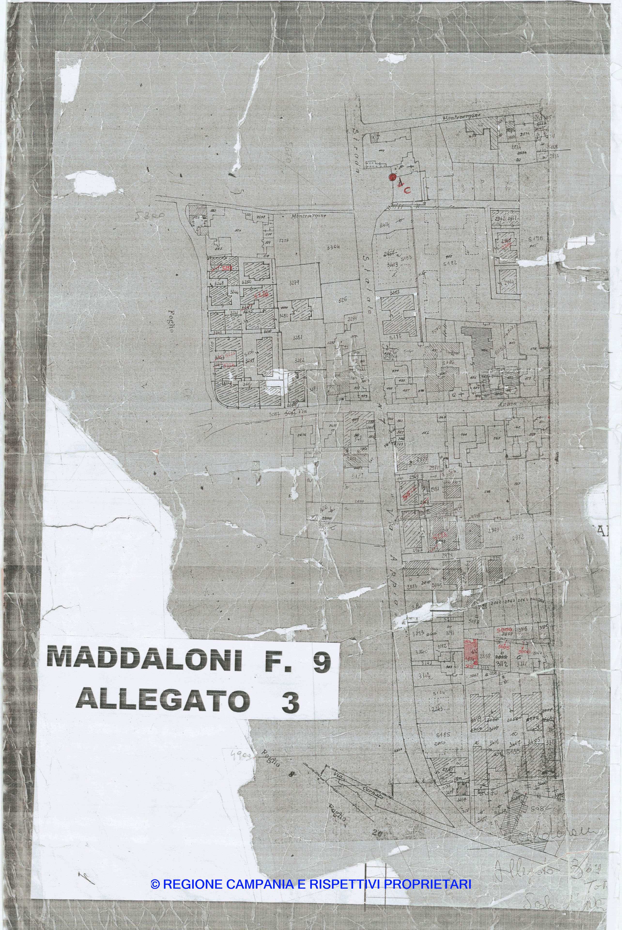 Allegati
